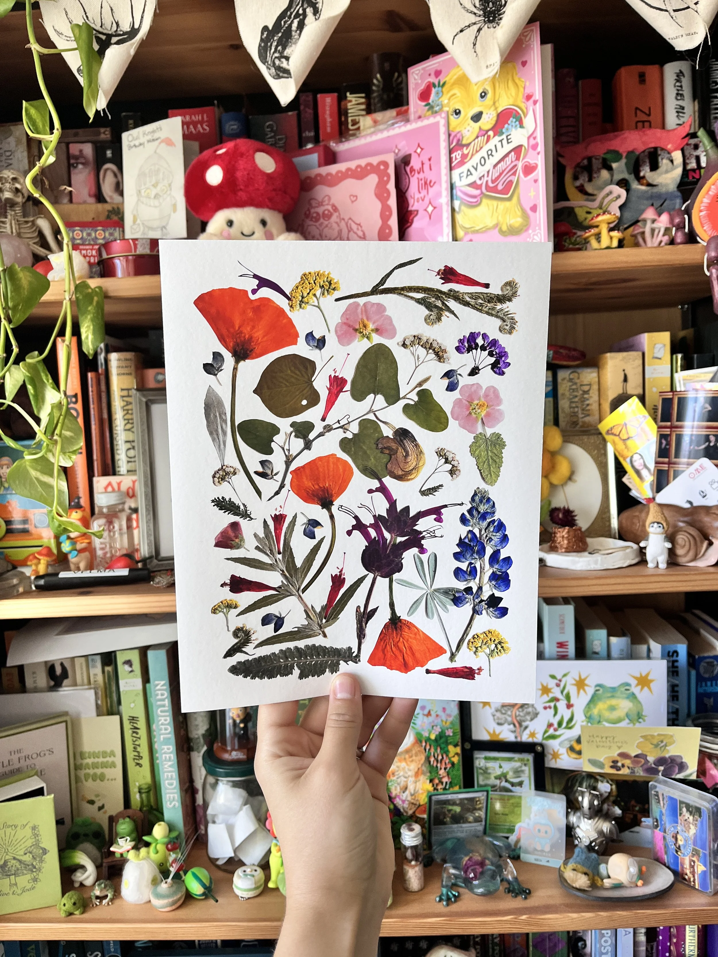 California Native Floral Print