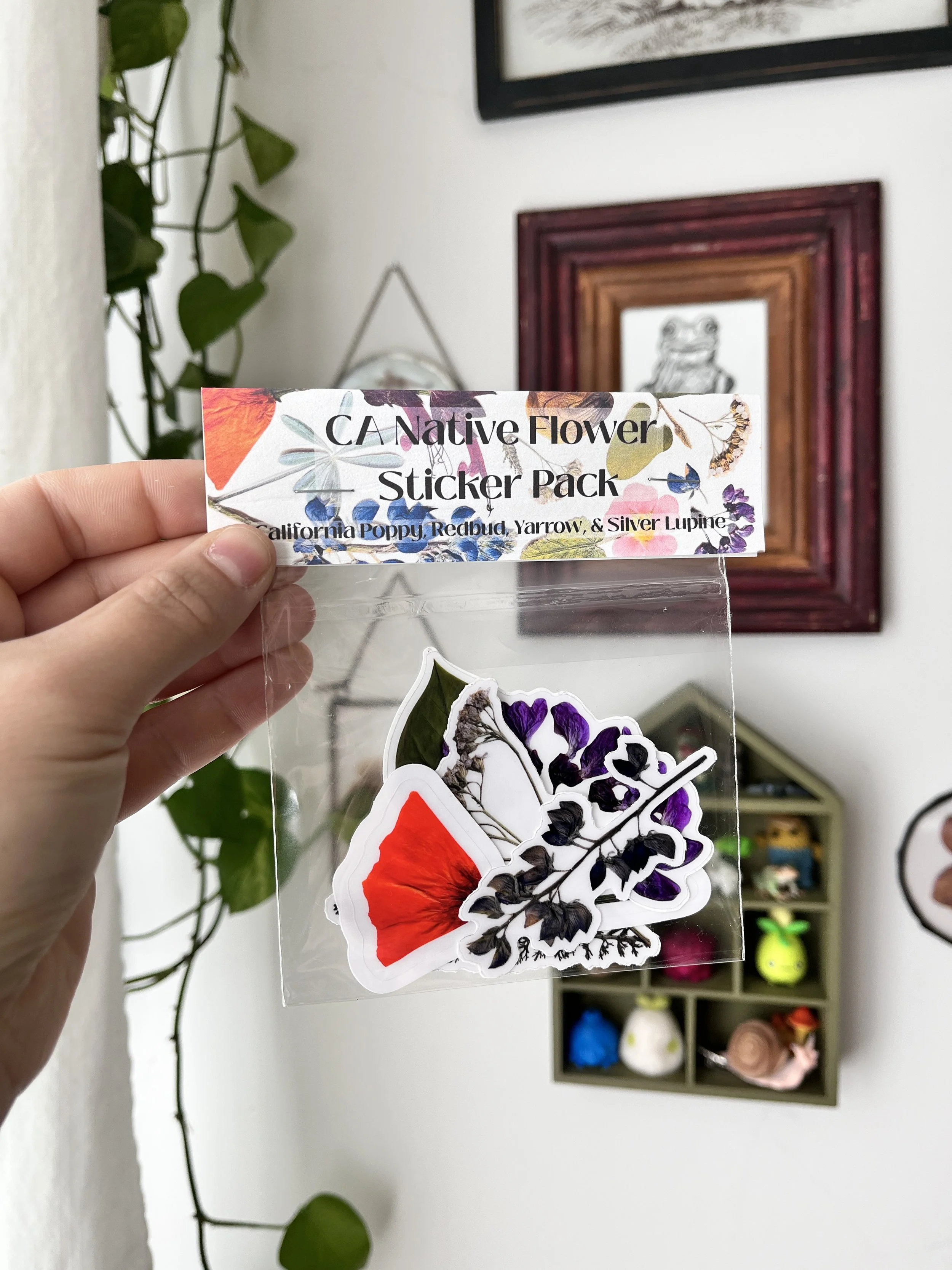 California Native Plant Sticker Pack- 4ct