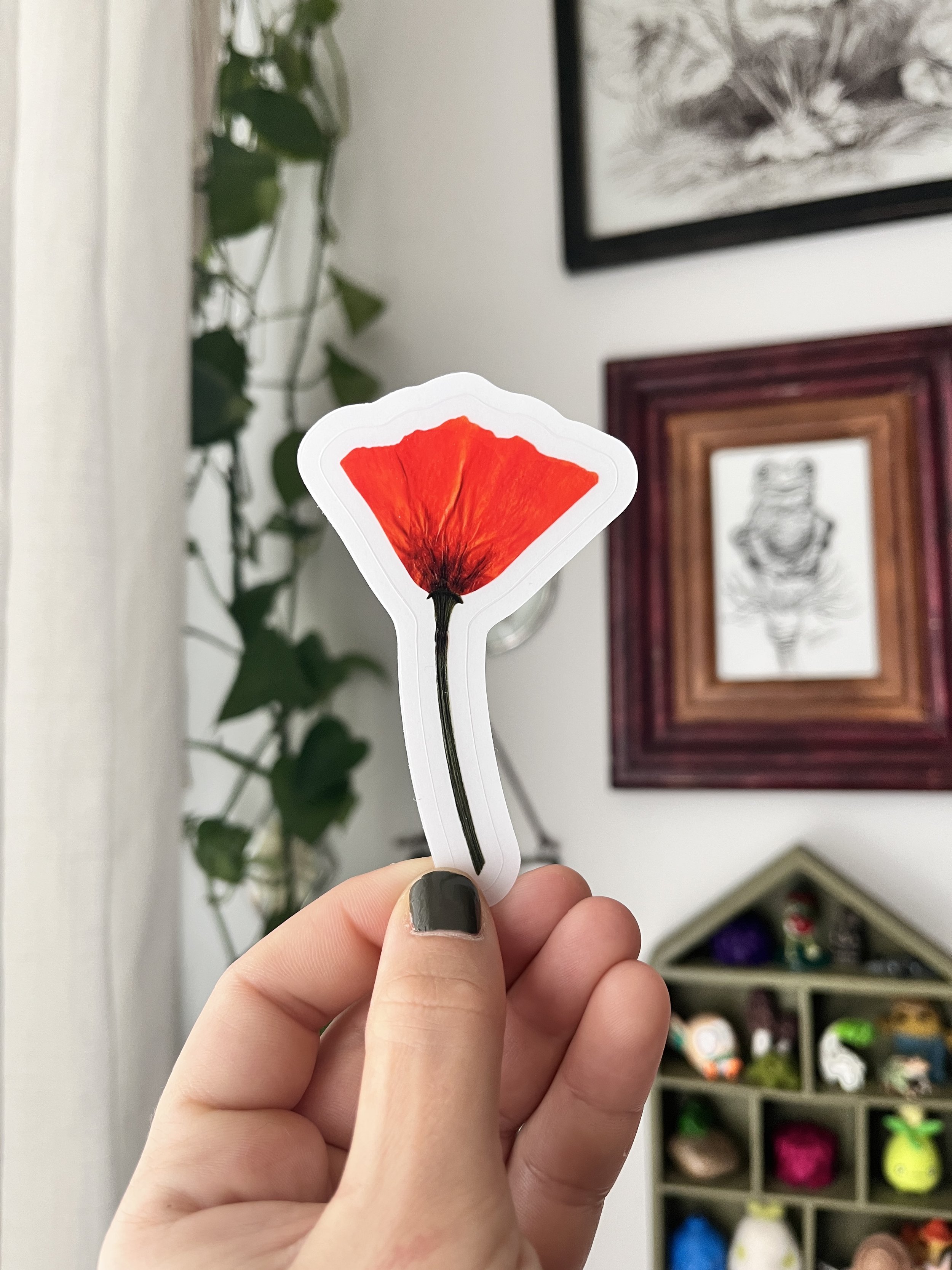 California Poppy Floral Sticker