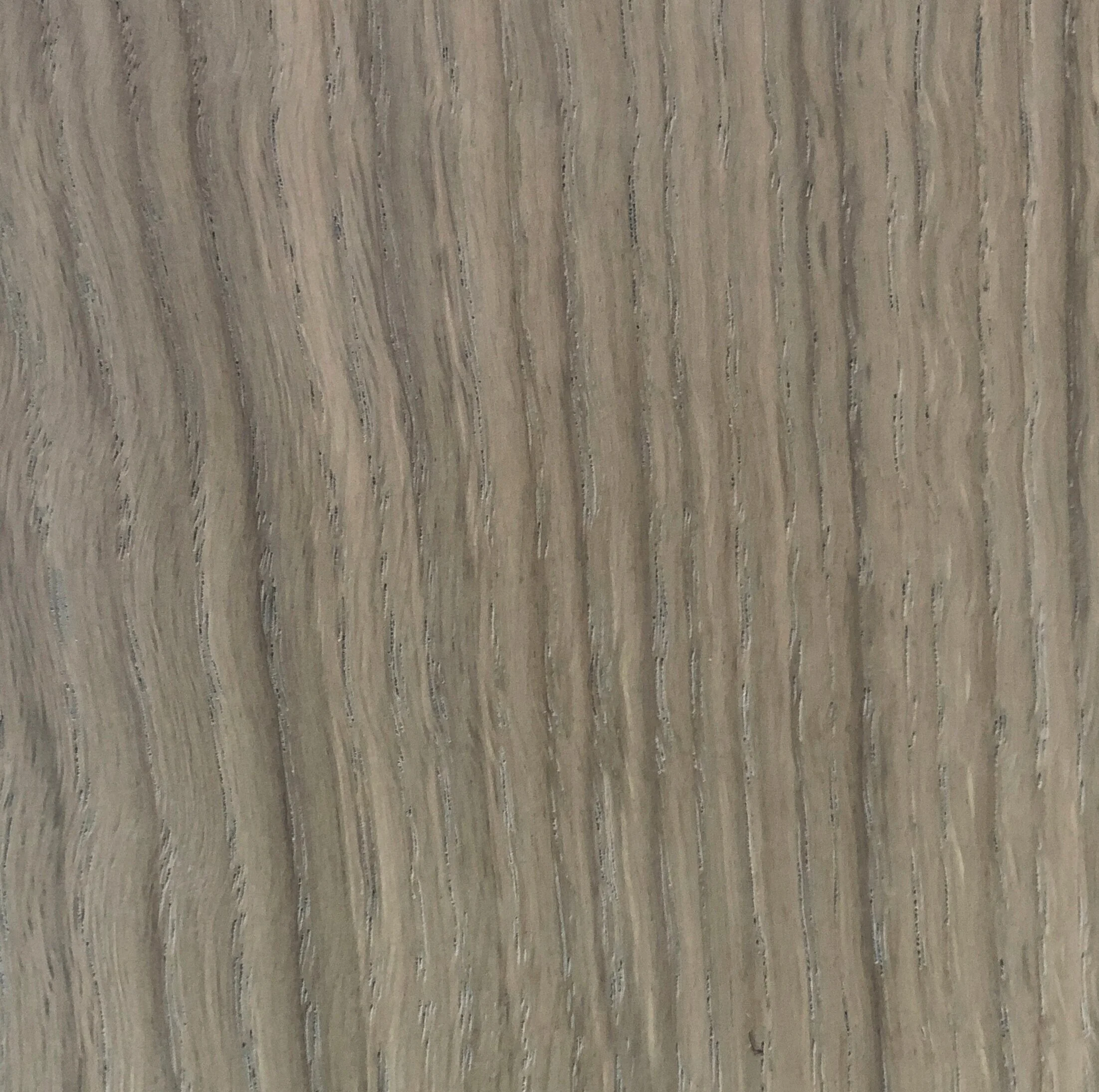 dove white oak W0006