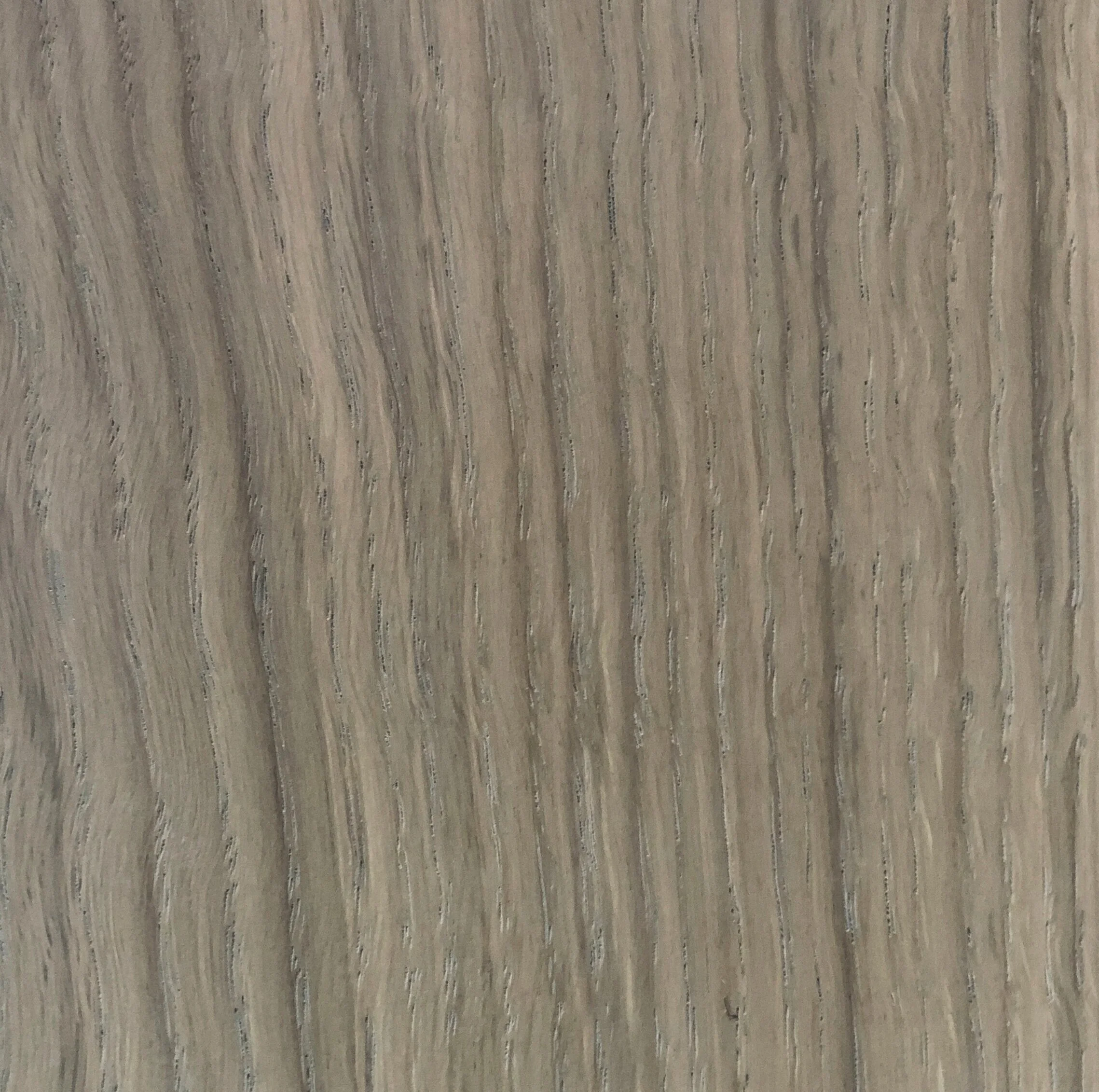 dove white oak W0006