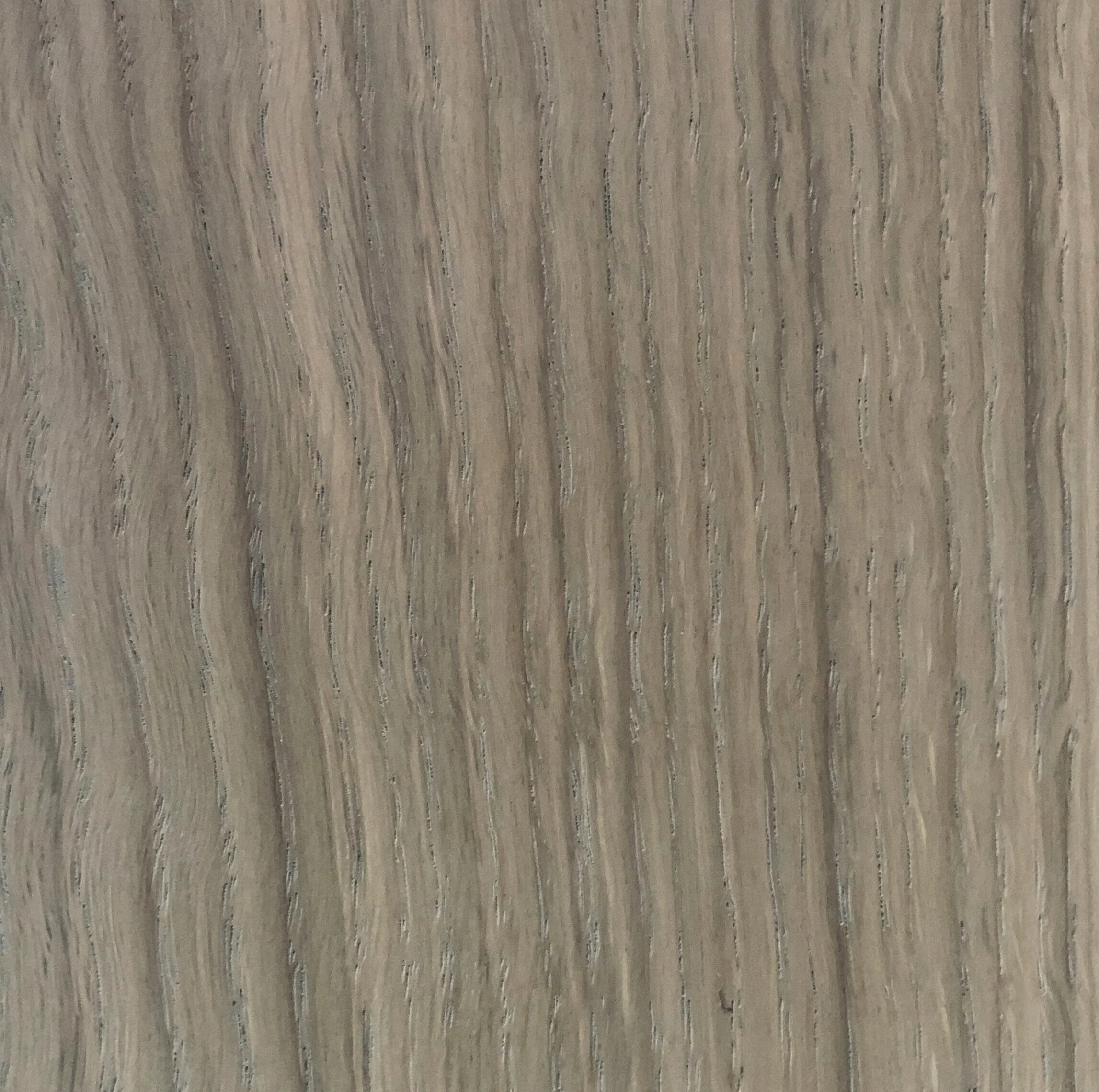 dove white oak W0006