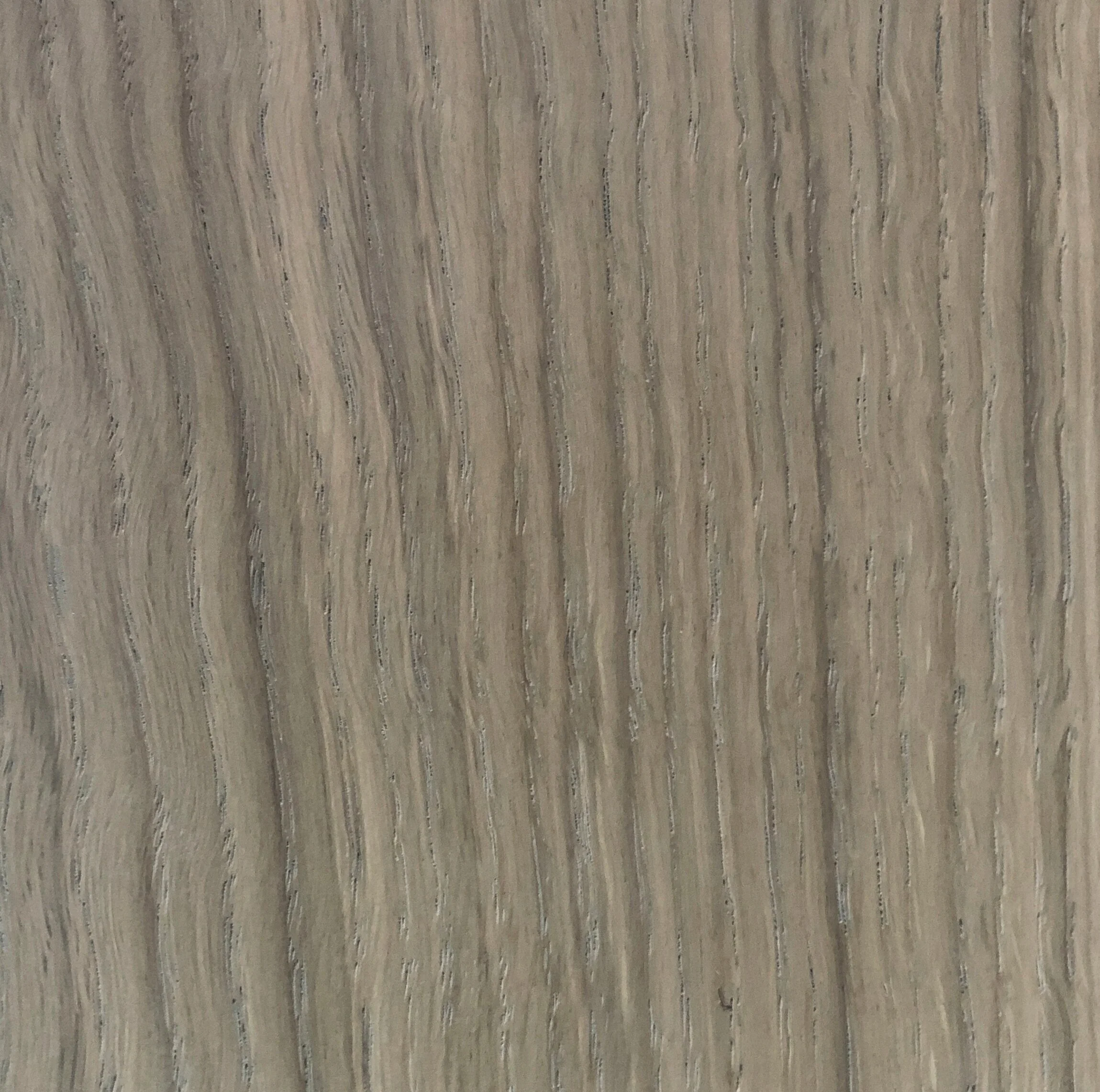 dove white oak W0006
