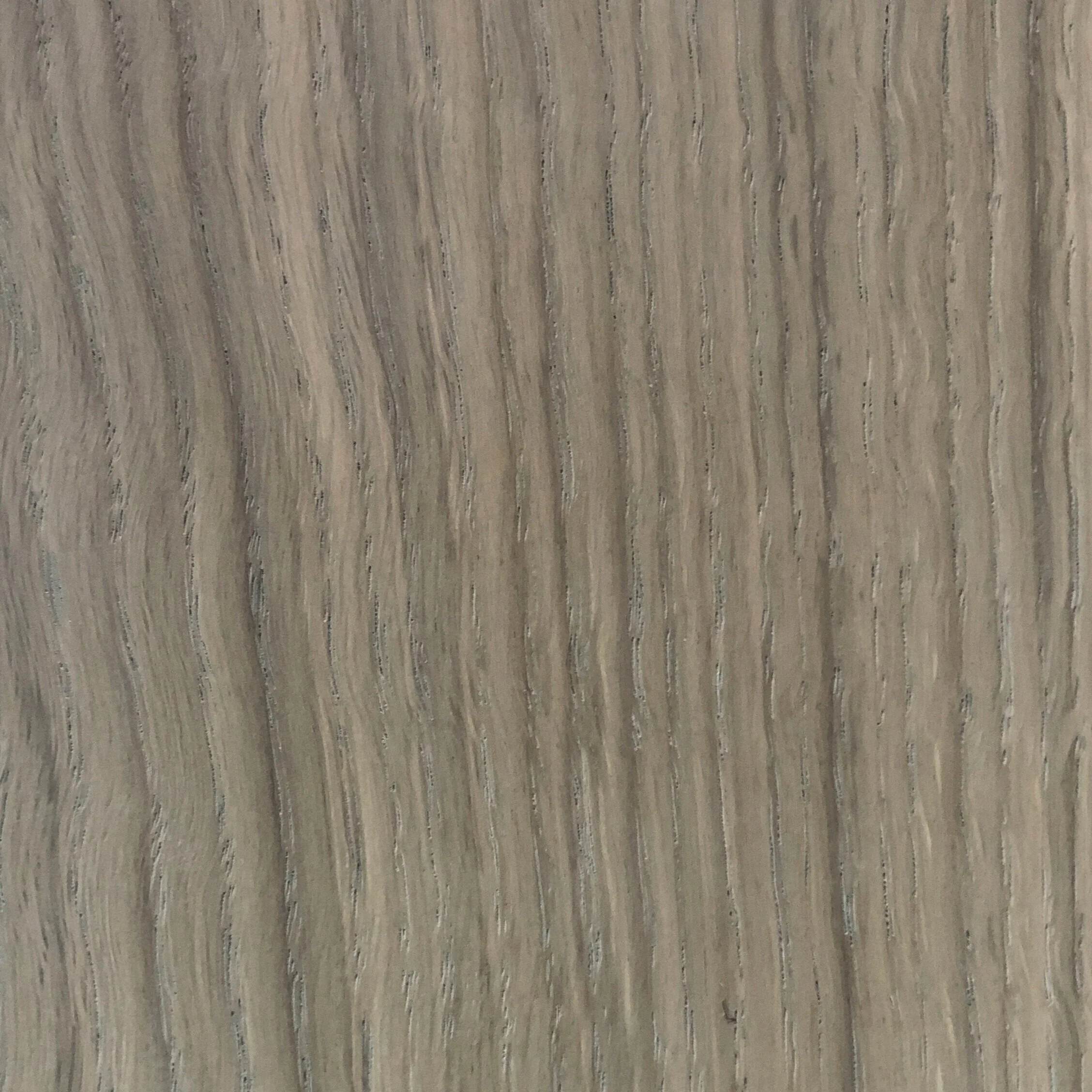 dove white oak W0006