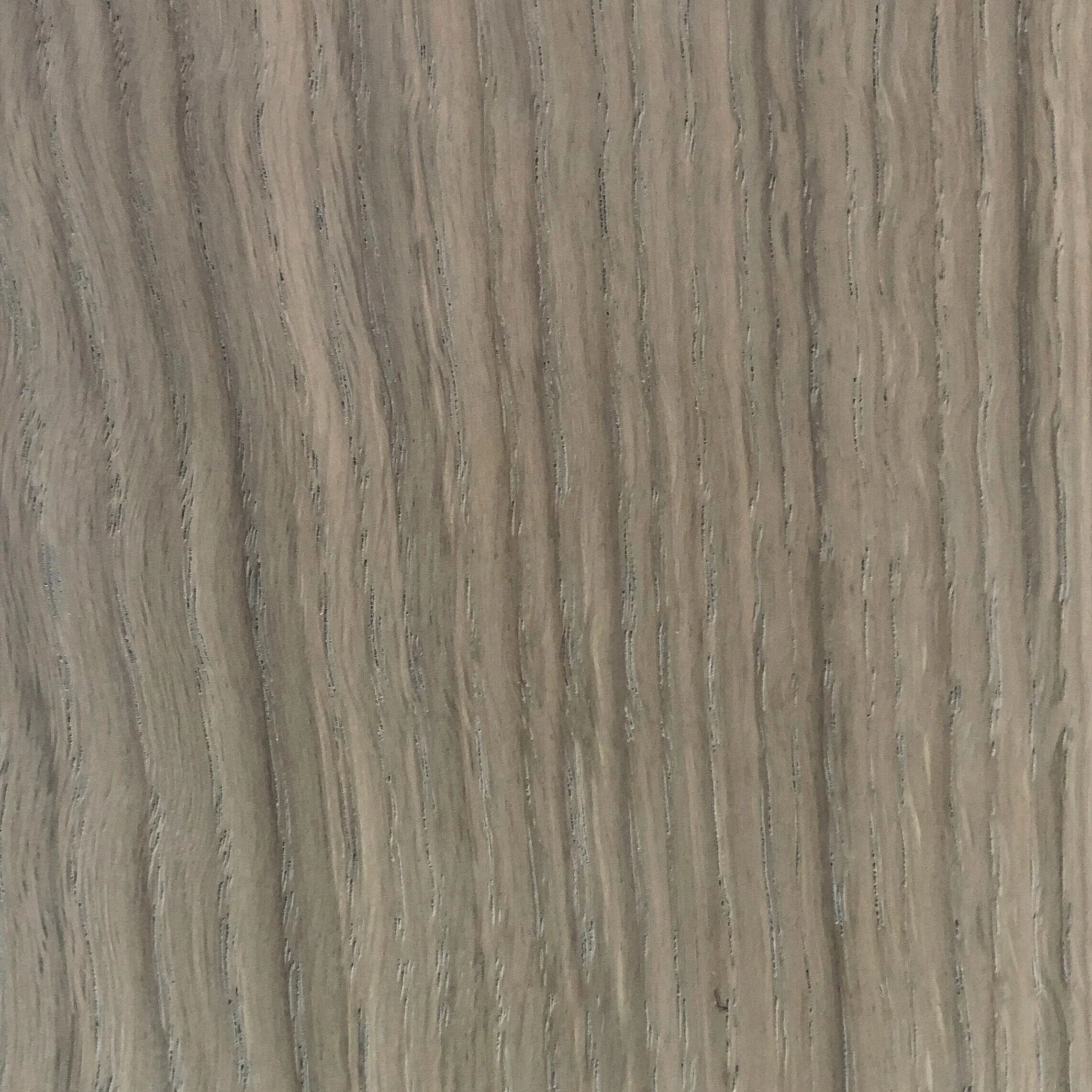 dove white oak W0006