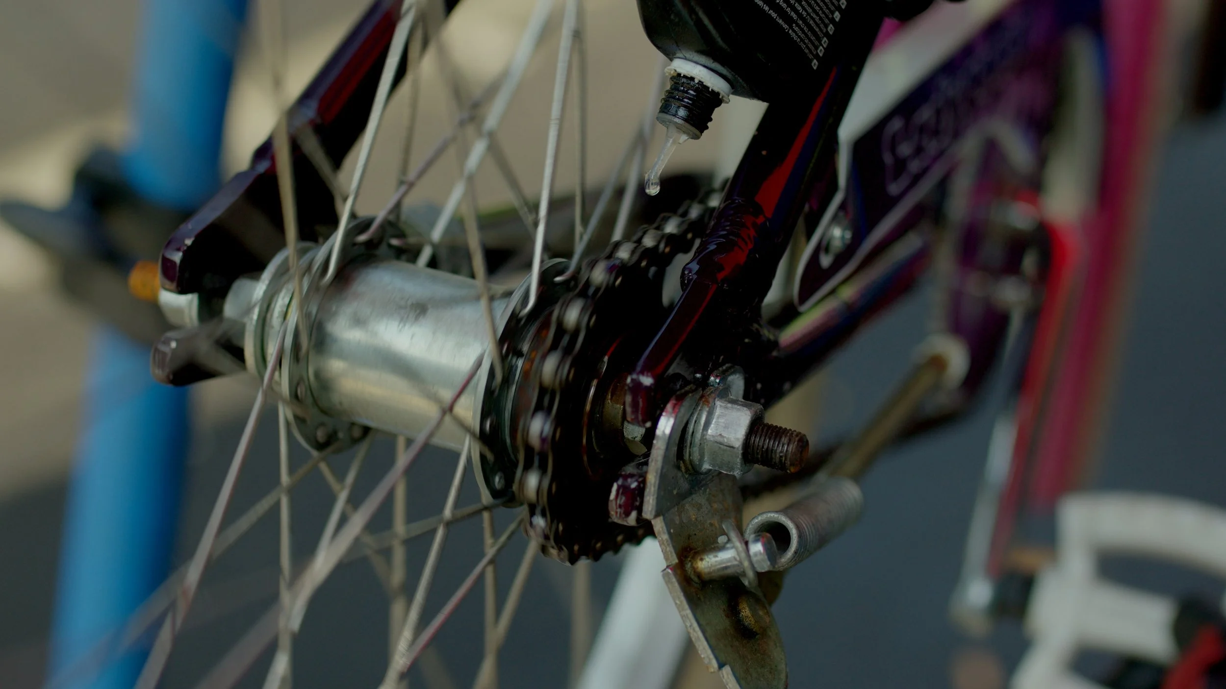 Still 2026-03-02 122550_2.46.1.jpg