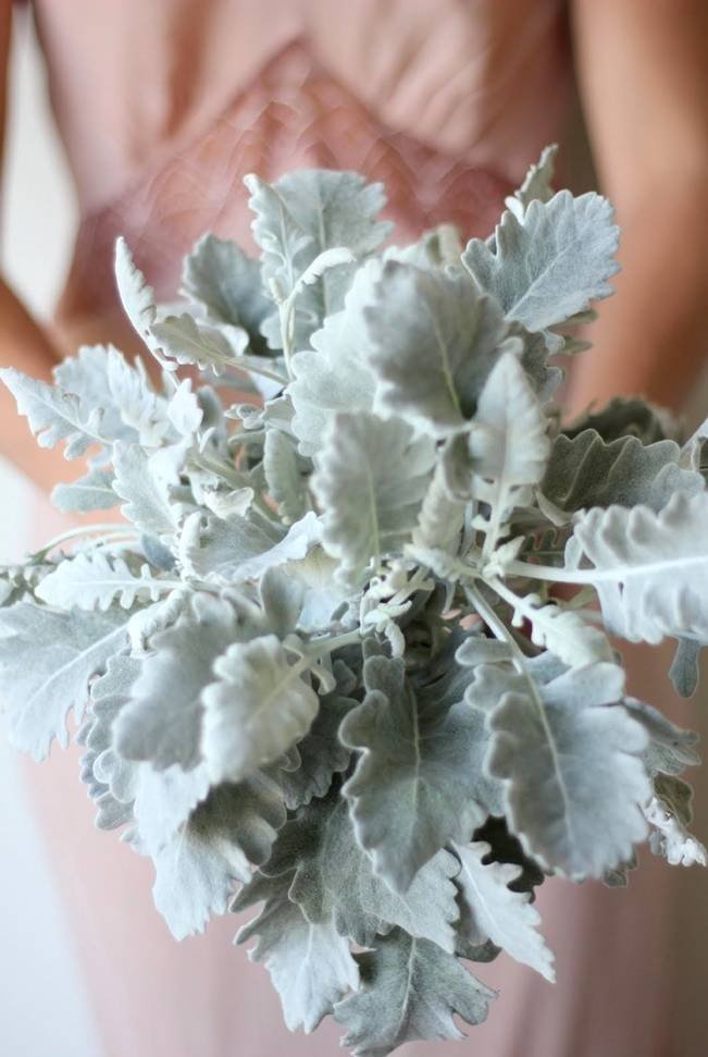 A Bridesmaid in a mauve dress holds a bundle of silver Dusty Miller