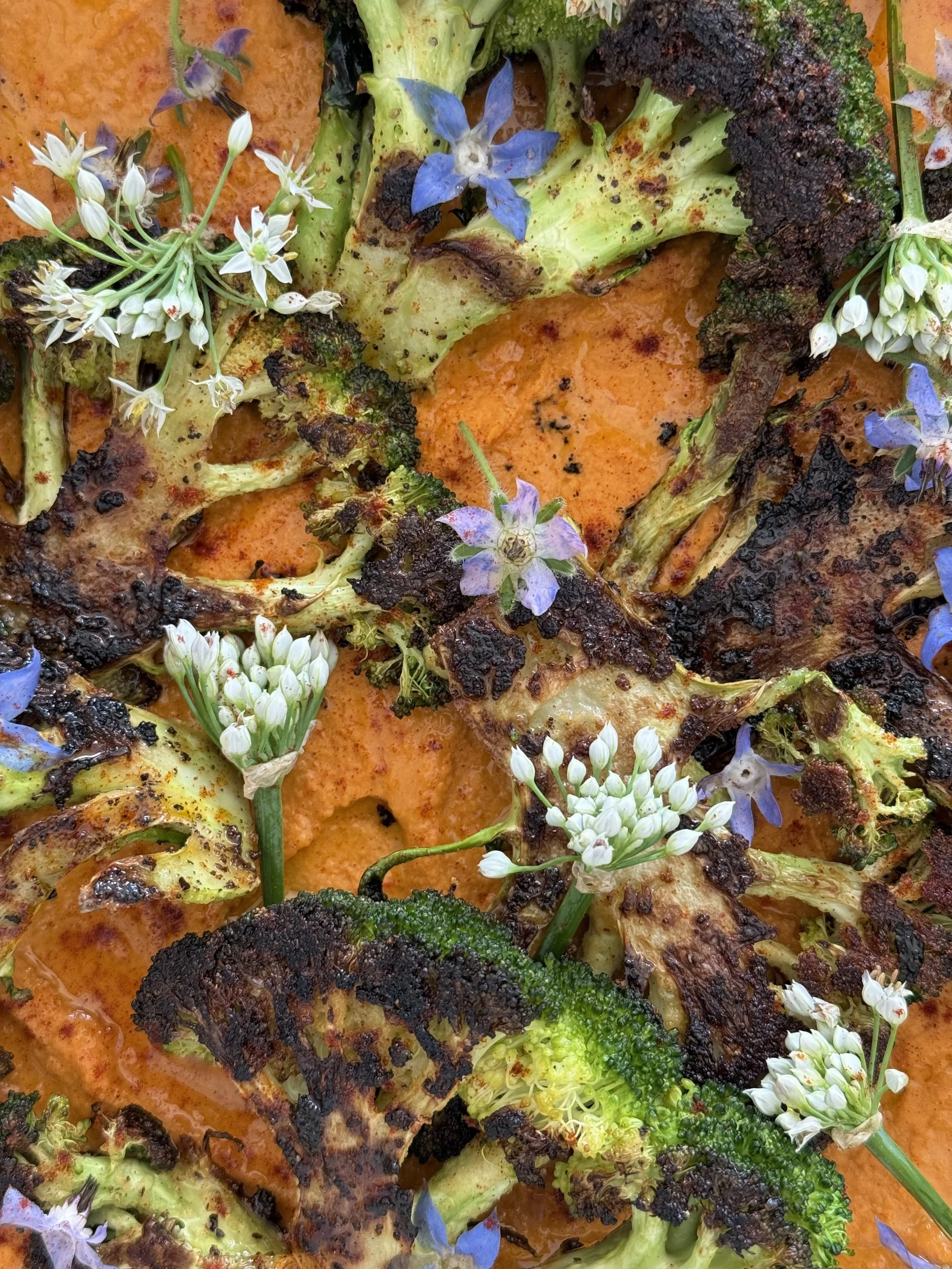 Charred Broccoli Steaks with Spicy Romesco