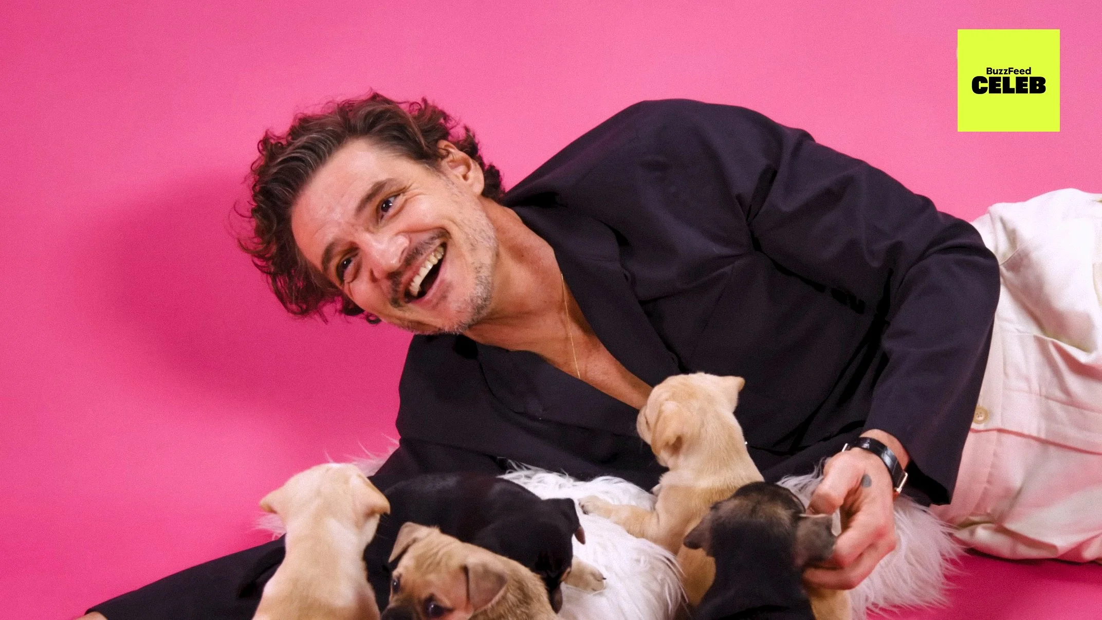 BUZZFEED'S THE PUPPY INTERVIEW: PEDRO PASCAL