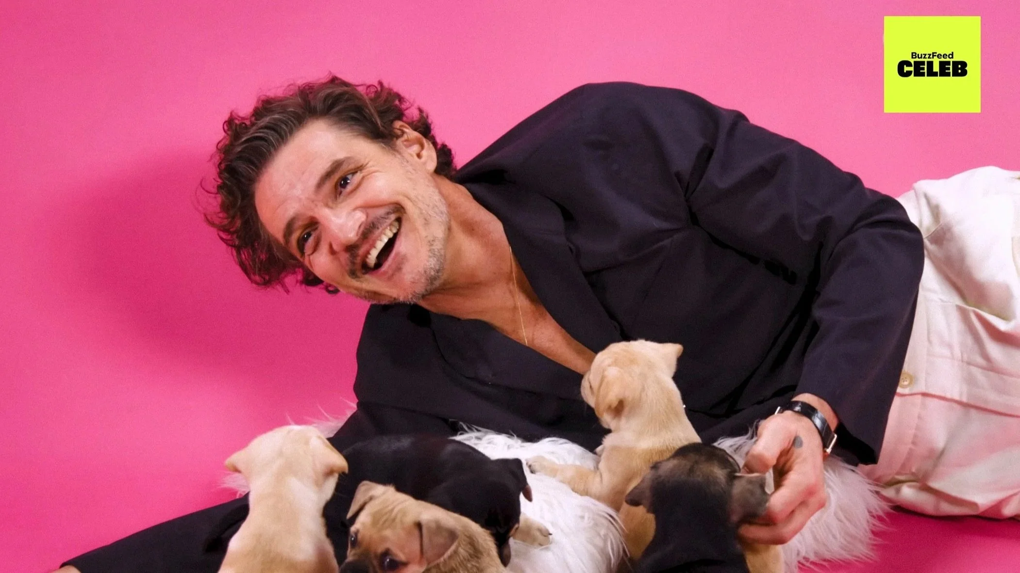 BUZZFEED'S THE PUPPY INTERVIEW: PEDRO PASCAL
