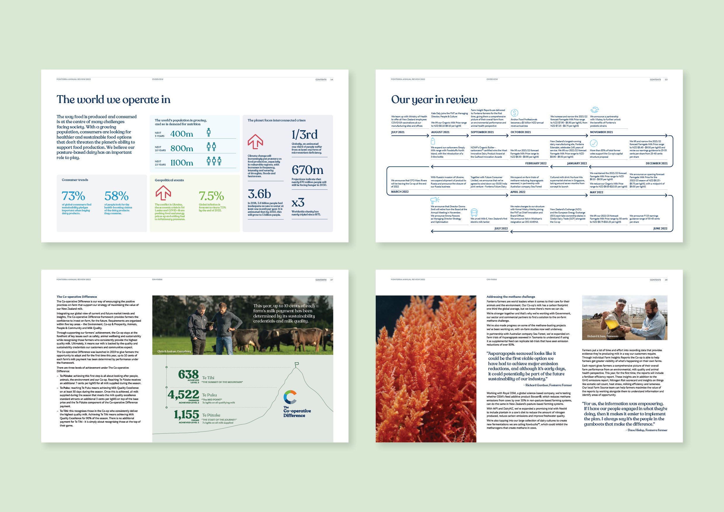 FON105-Report-mockups-ANNUAL_REVIEW_V1c6.jpeg