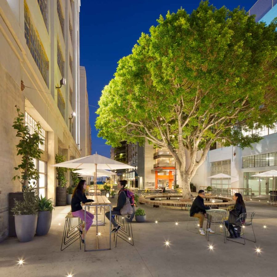 Project: @rowdtla 
Architect: RCH Studios
📍Los Angeles, CA
.
.
.
#bankslandllightingdesign #bankslandllighting #bankslandl #BLLD  #lightdesigner #lightingsolutions  #lighting #lightaesthetic #lightingideas #lightdesign #lightdesigned #light #lightin