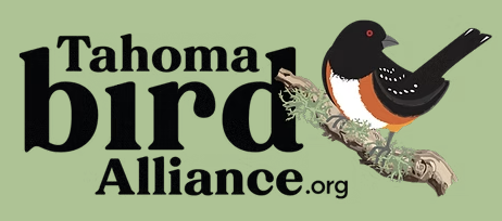 Birds & Poetry