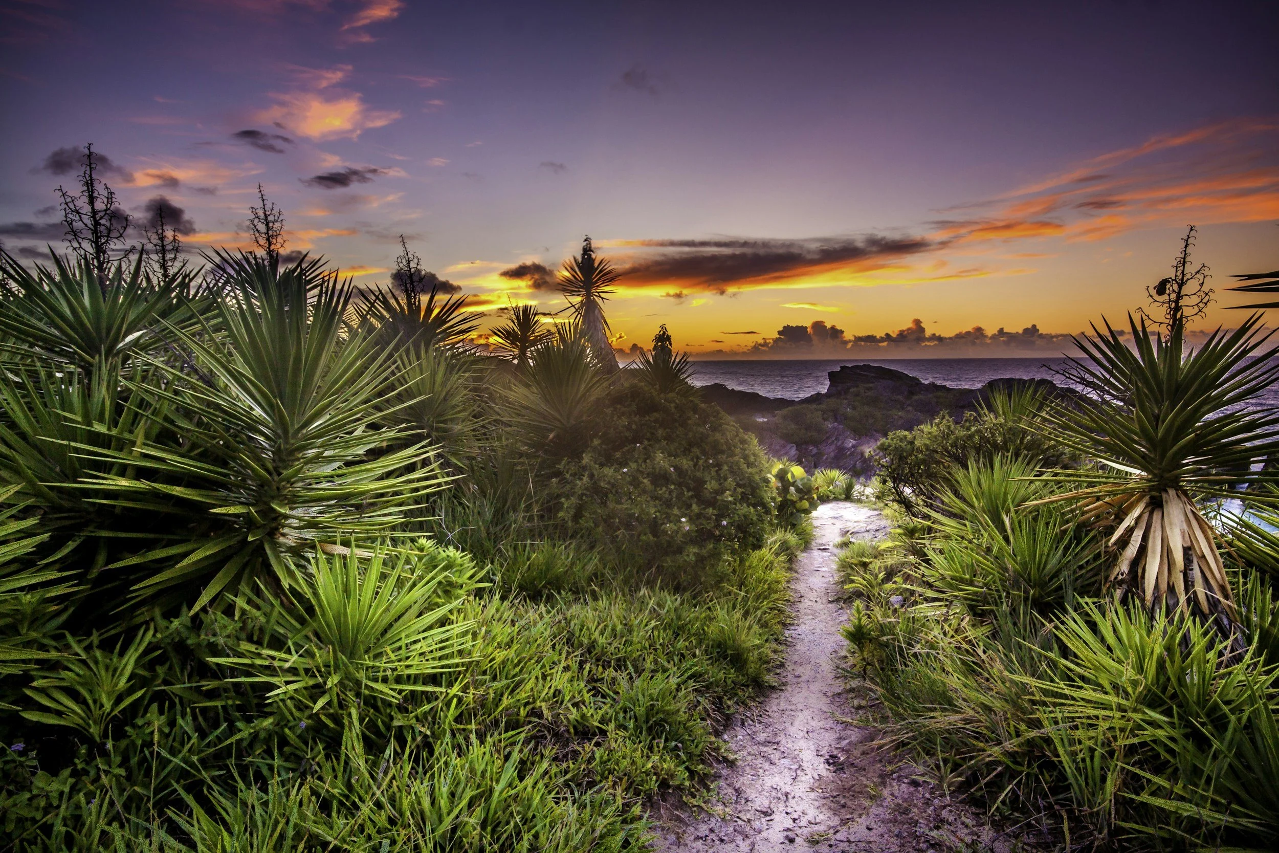 Why Bermuda is the Best Place on Earth to Live. 