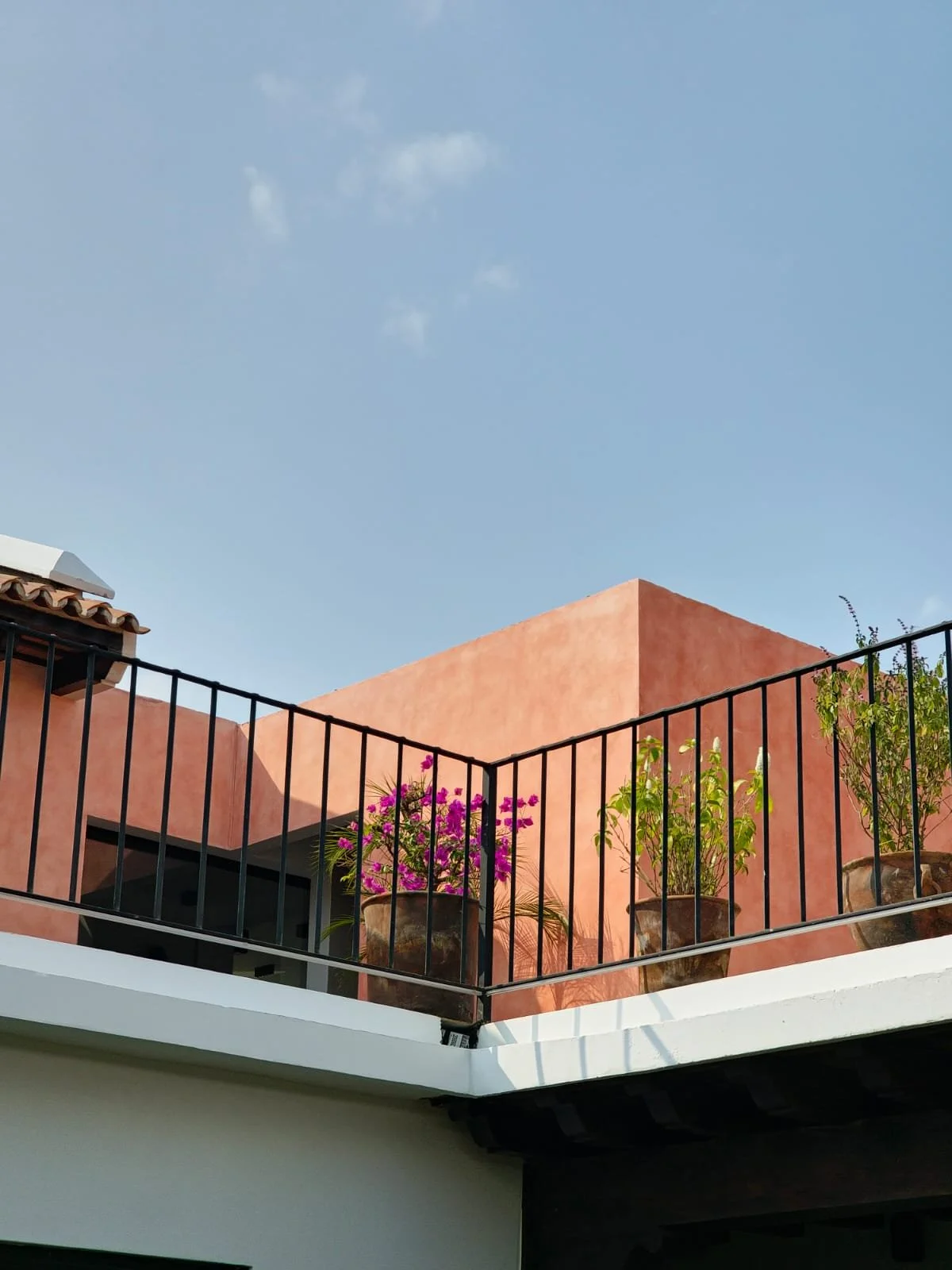 WhatsApp Image 2024-02-28 at 8.45.25 PM (2).jpeg