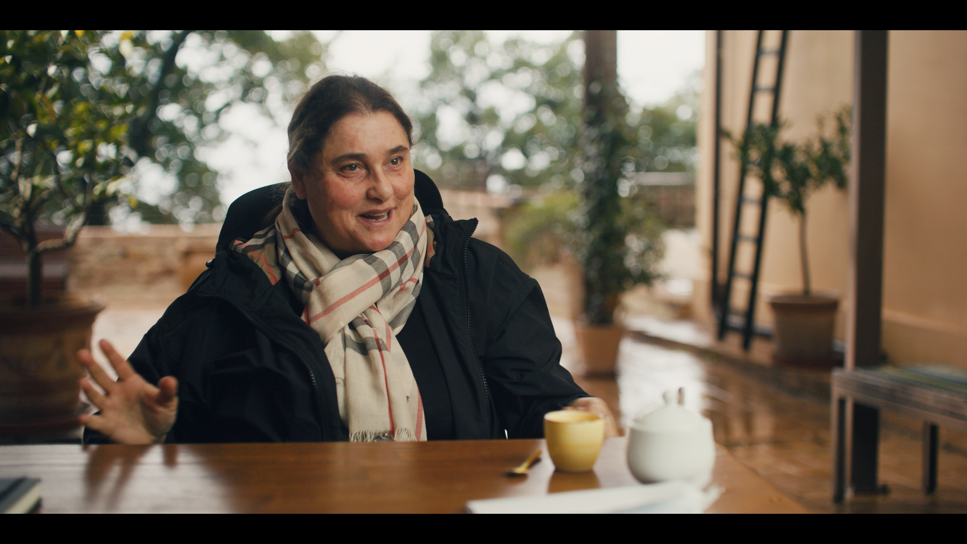 Carlo Stills_1.179.1.png