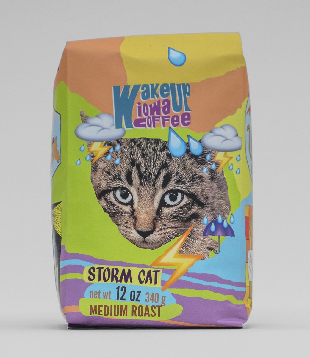 storm.12.front.jpg