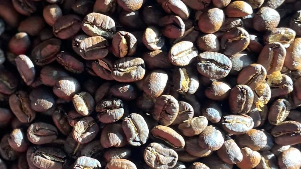 Shop — Wake Up Iowa!