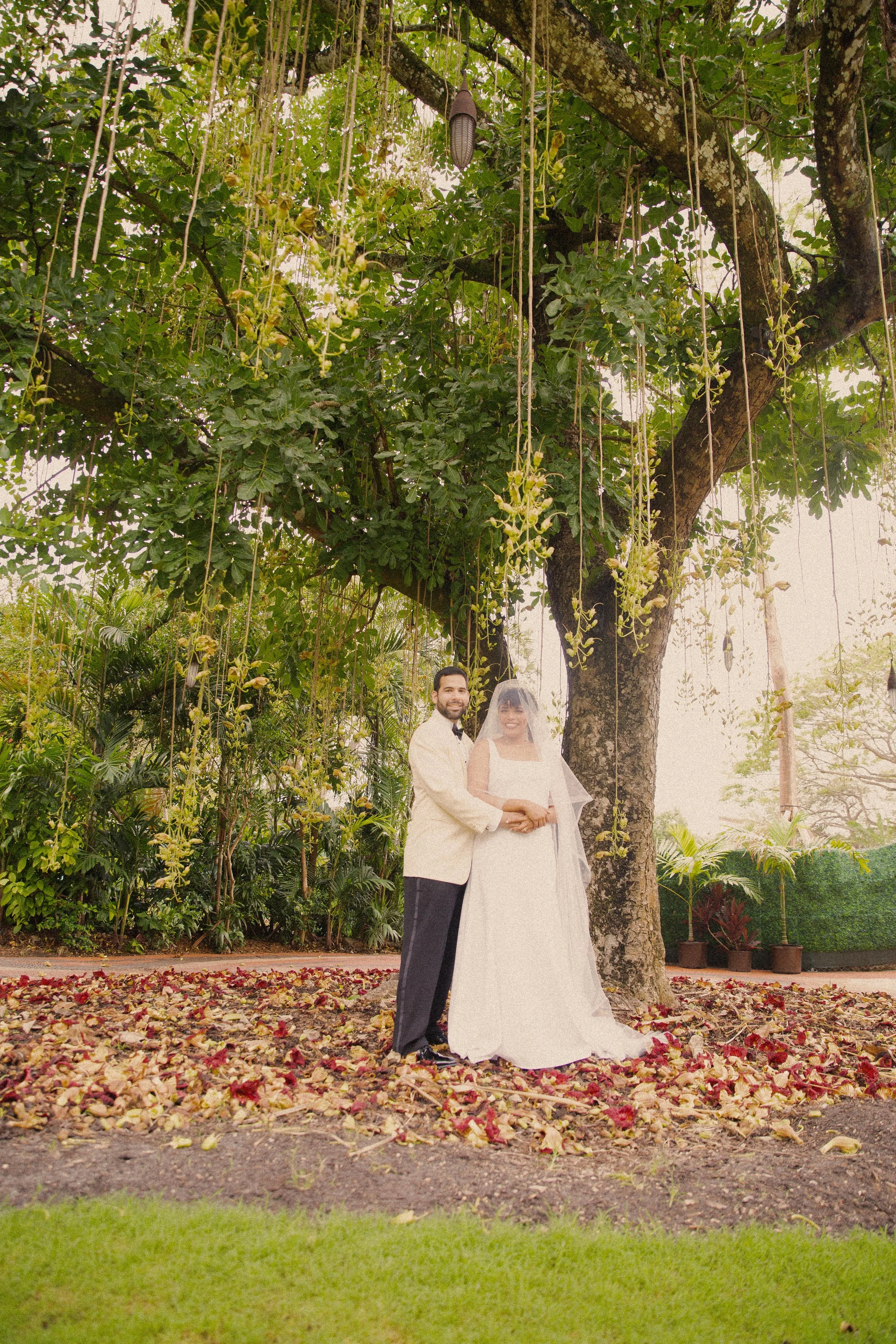A bride and groom stand under a large tree with hanging vines, surrounded by greenery and potted plants, during a wedding photoshoot.