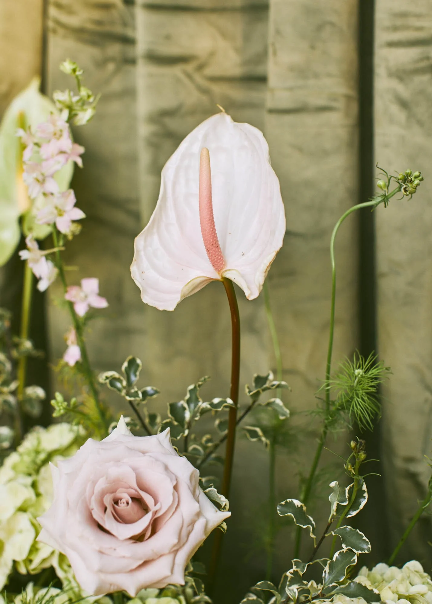 A white peace lily flower with a pink spadix, surrounded by greenery and other flowers.