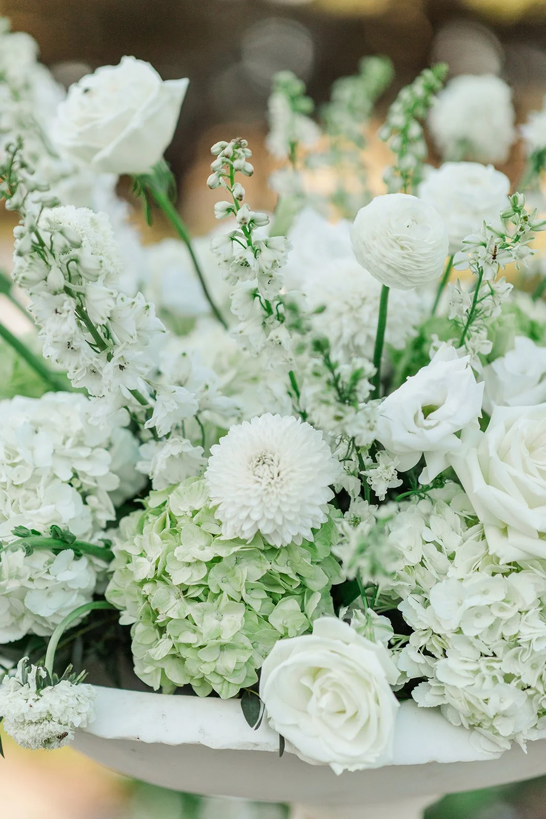 Josh & Shae Charleston Wedding 2025 Laura and Rachel Photography-745.jpg