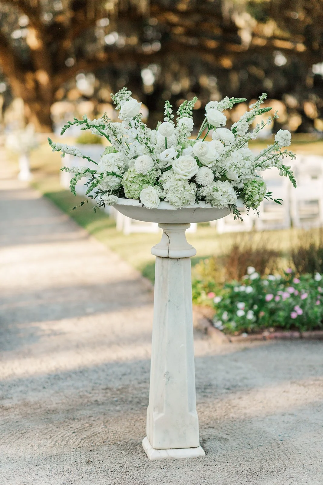 Josh & Shae Charleston Wedding 2025 Laura and Rachel Photography-741.jpg