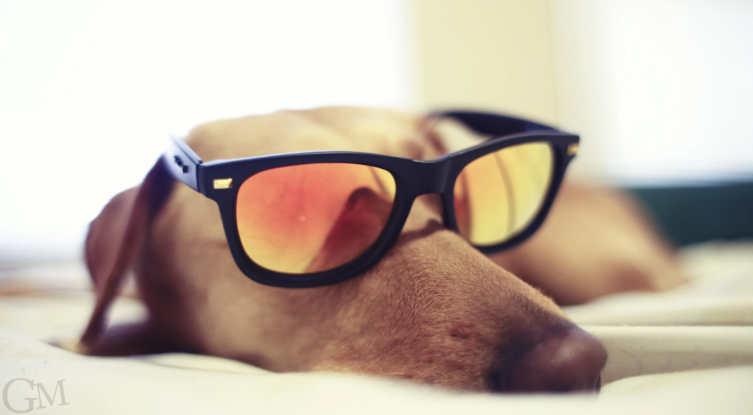 The Curator News Feed: March 27, 2015