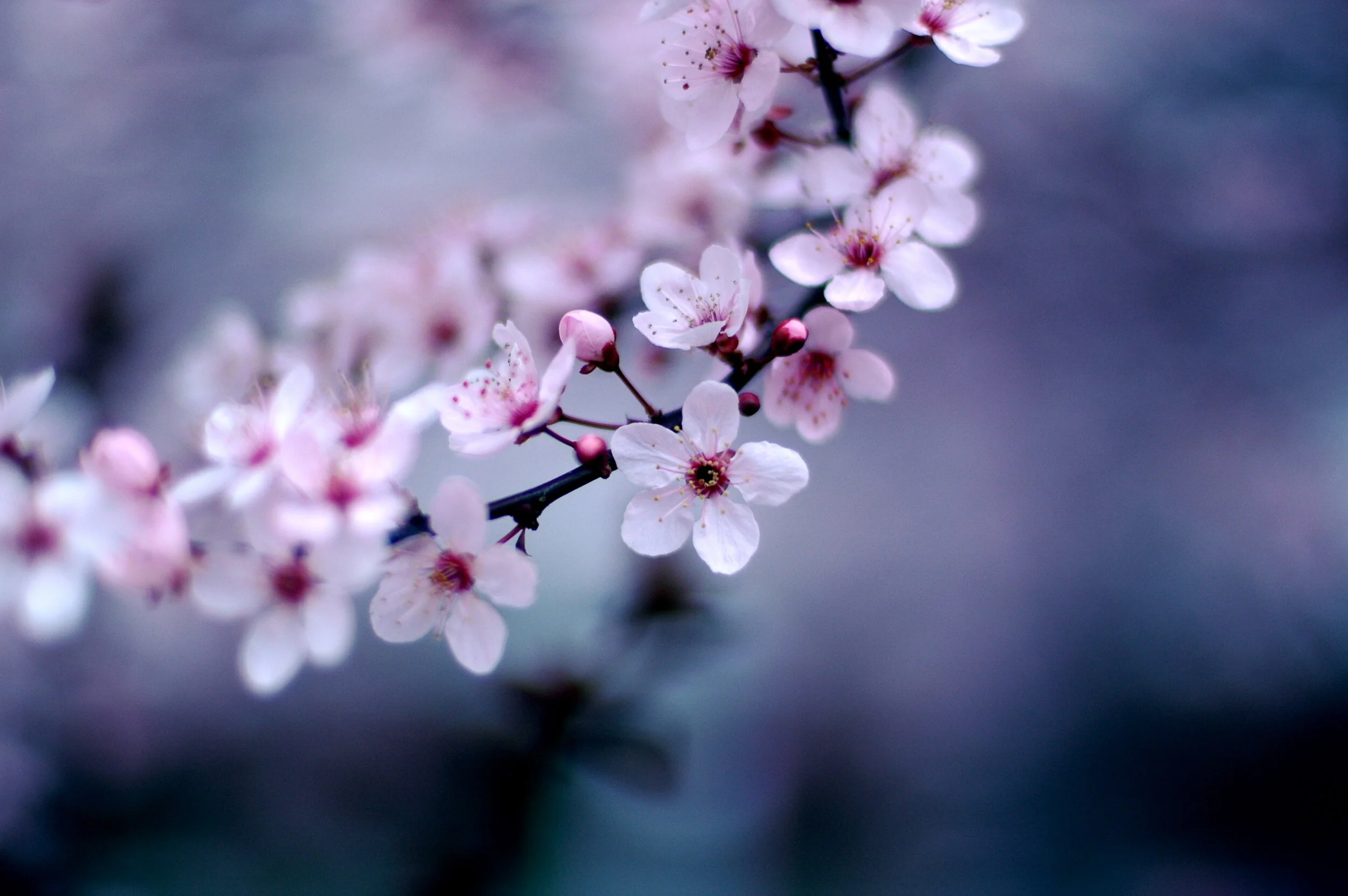 The Curator News Feed: March 20, 2014