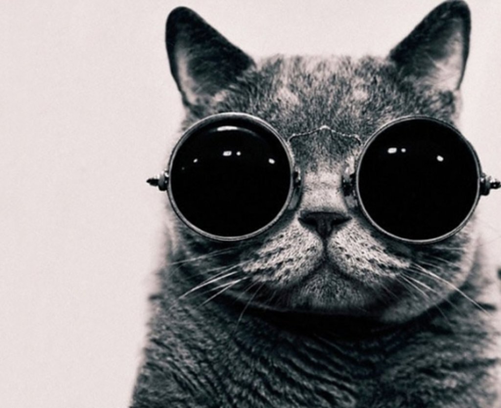 The Curator News Feed: February 13, 2015