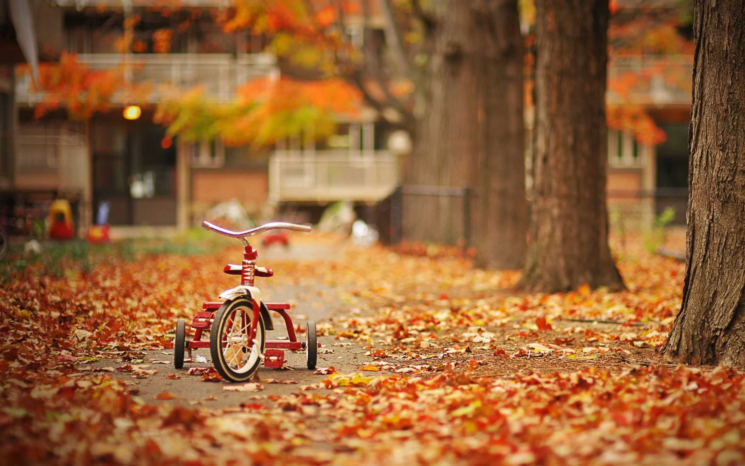The Curator News Feed: November 21, 2014