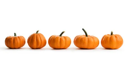 The Curator News Feed: October 31, 2014