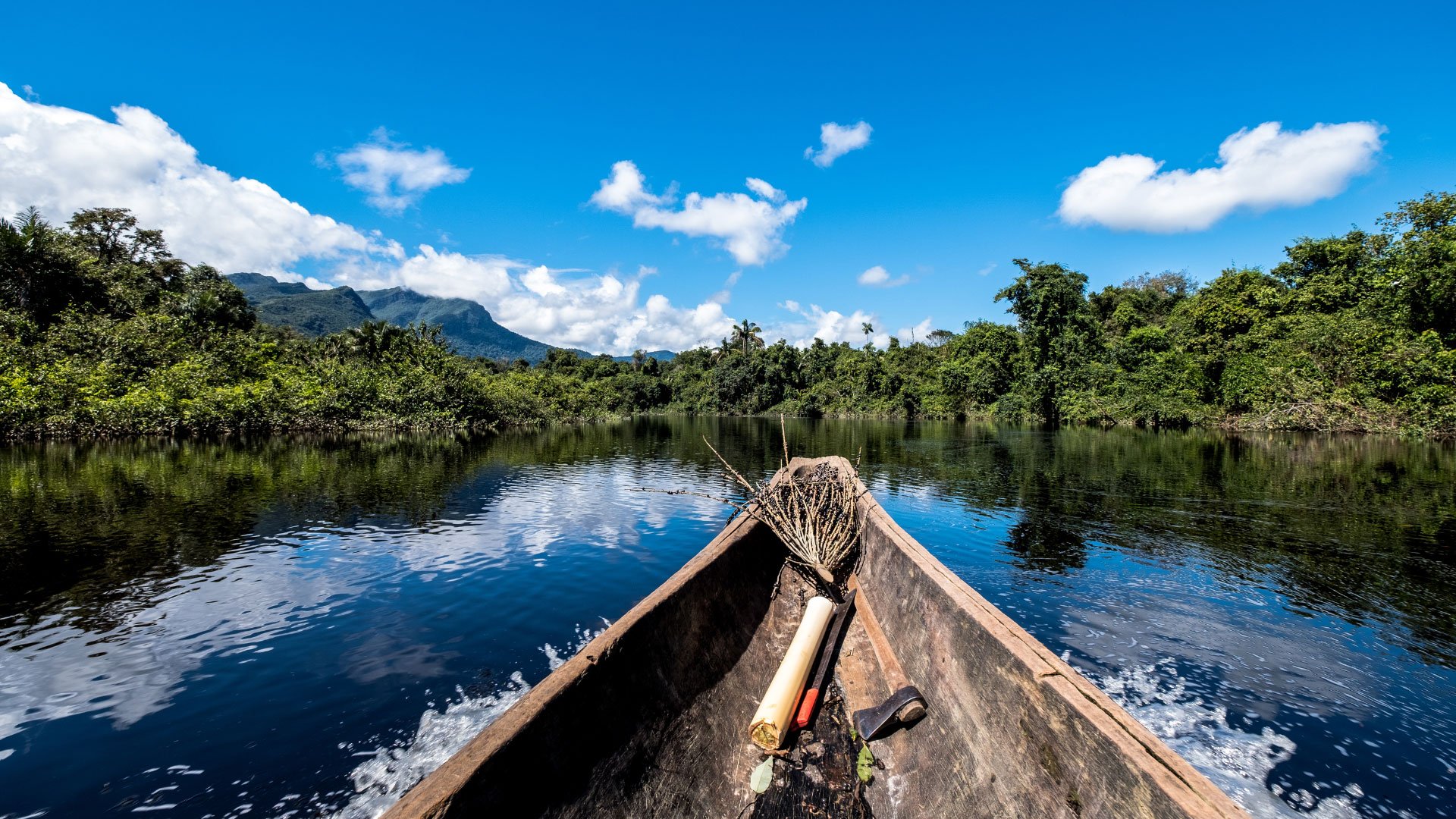 ia Viva: Rondônia and Acre states, Brazil - Trillion Trees