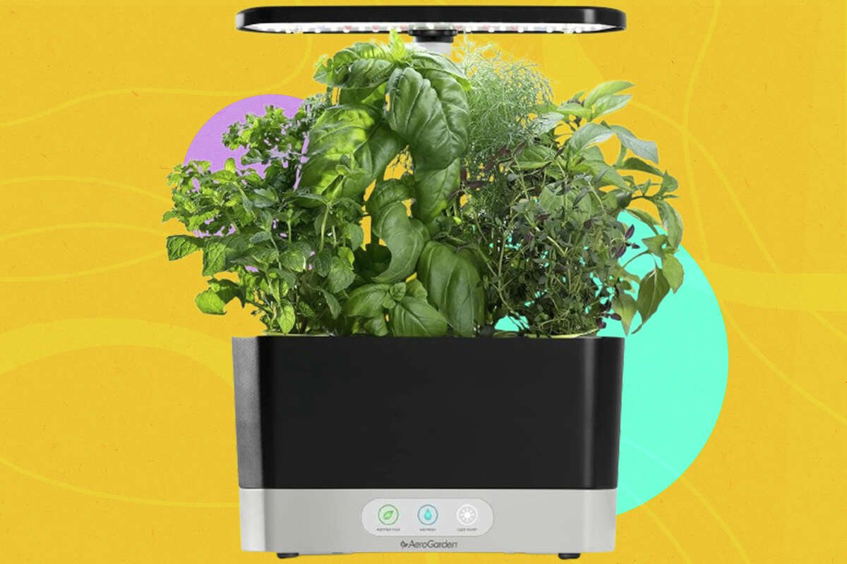 Indoor Garden Kits The Top 5 Options For Sustainable Food — Rapid