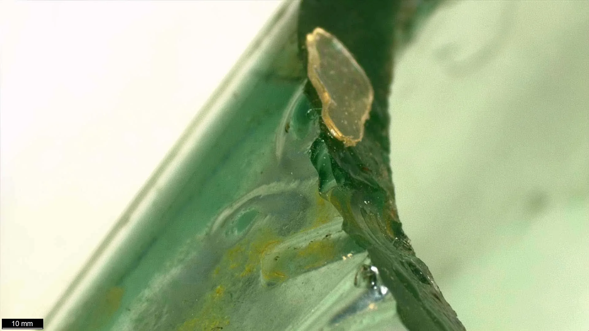 F2_dirt and adhesive.jpg