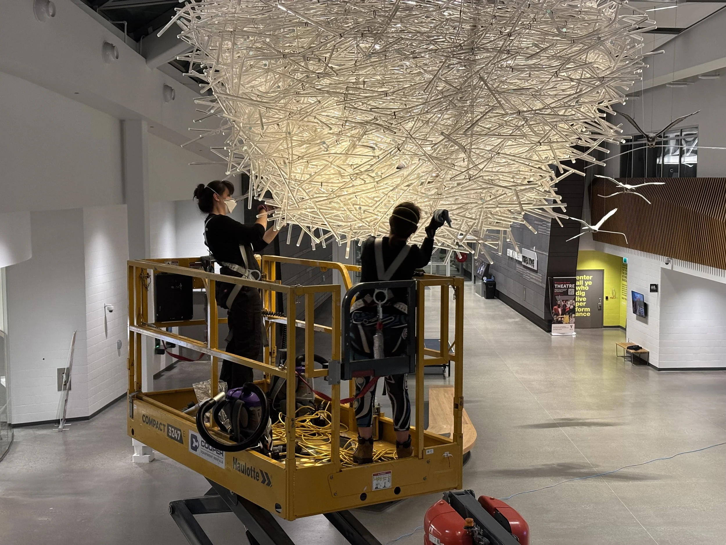 Myself (centre) and my supervisor at the City of Calgary (left) standing on a boom lift, dusting a large installation composed of acrylic "twigs" and sculpted bird forms
—
"The Nest" (2018) by Donald Lipski