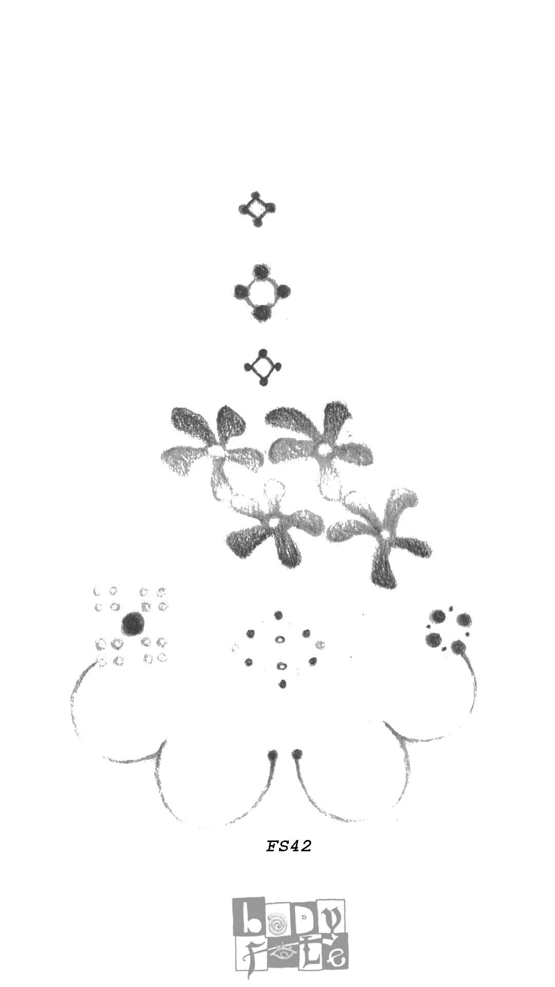 FS42-Winter 2024.jpg