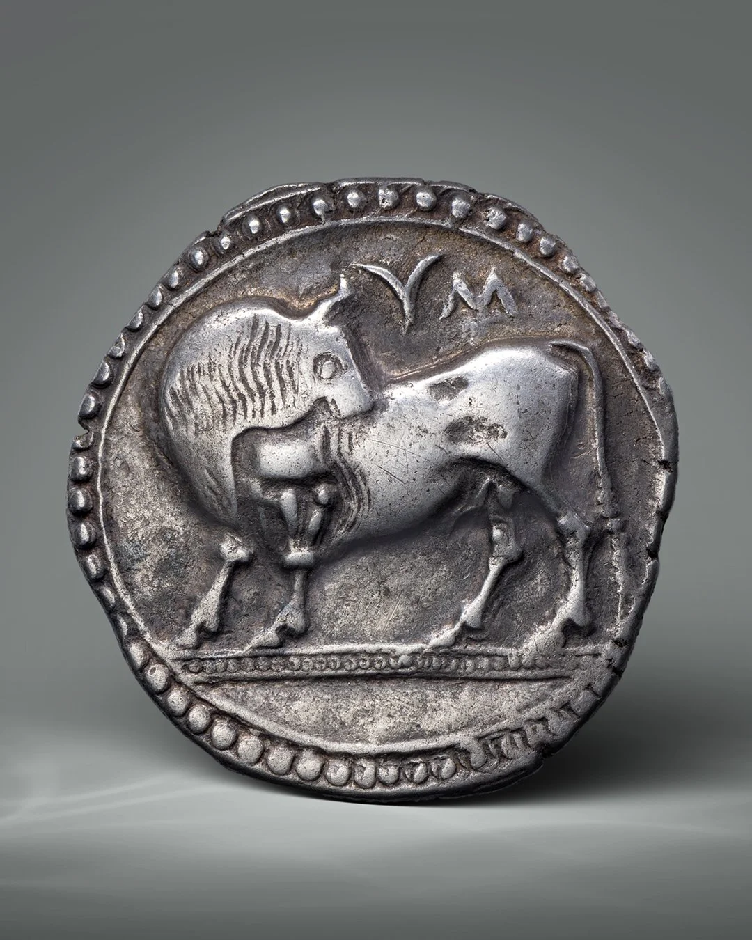 Ancient silver coin depicting a lion facing left and a bird flying above, with decorative border.
