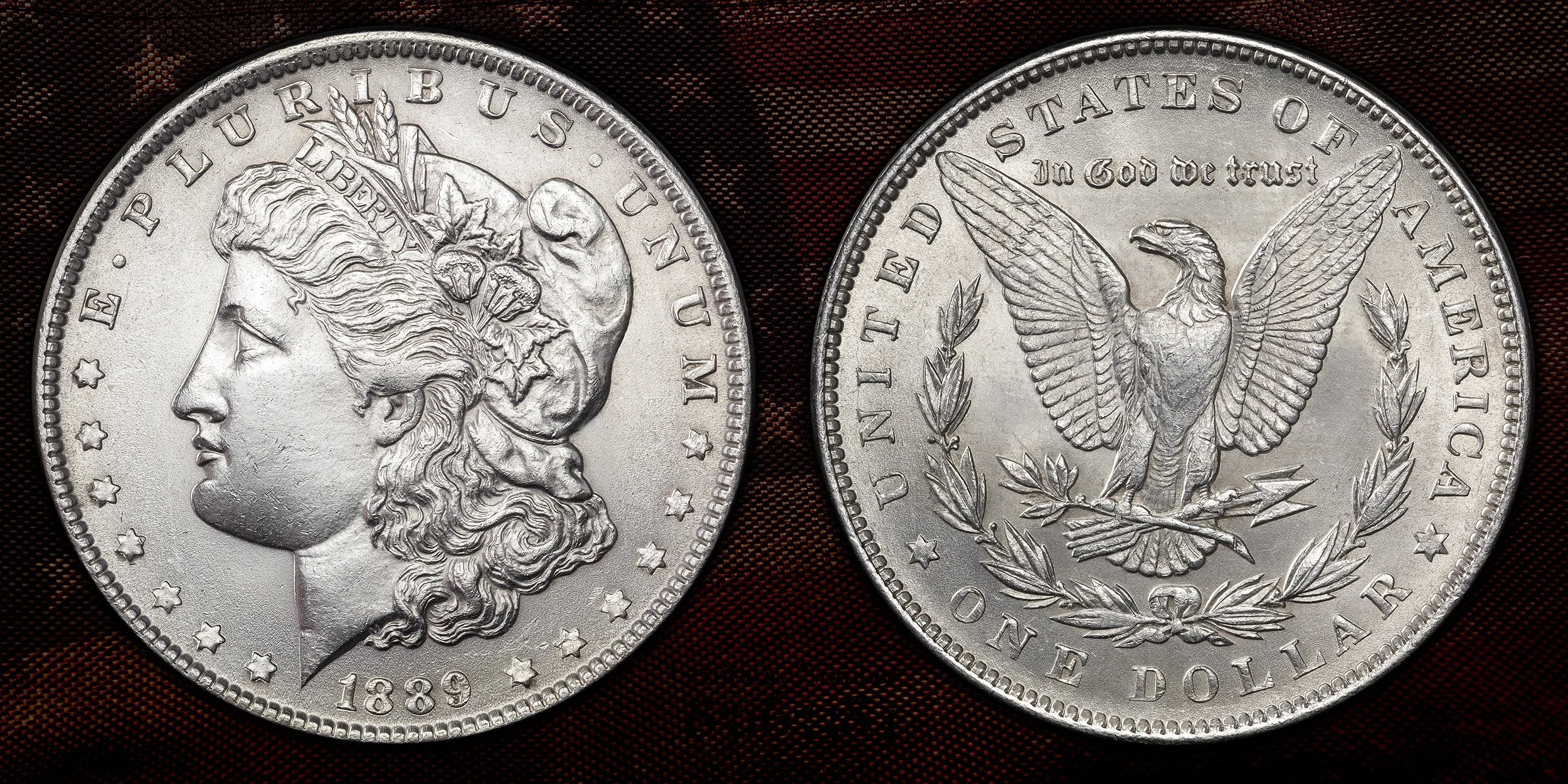 An 1889 Morgan silver dollar coin showing Lady Liberty on the obverse side with a wreath in her hair and the word "LIBERTY" on her headband, and an eagle on the reverse side with outstretched wings, holding an olive branch in its talons, surrounded b