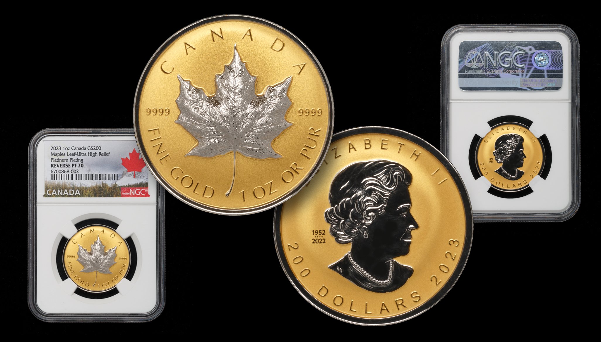 Coins including a Canadian Maple Leaf gold coin, a gold coin featuring Queen Elizabeth II, and a graded coin with a holographic label.