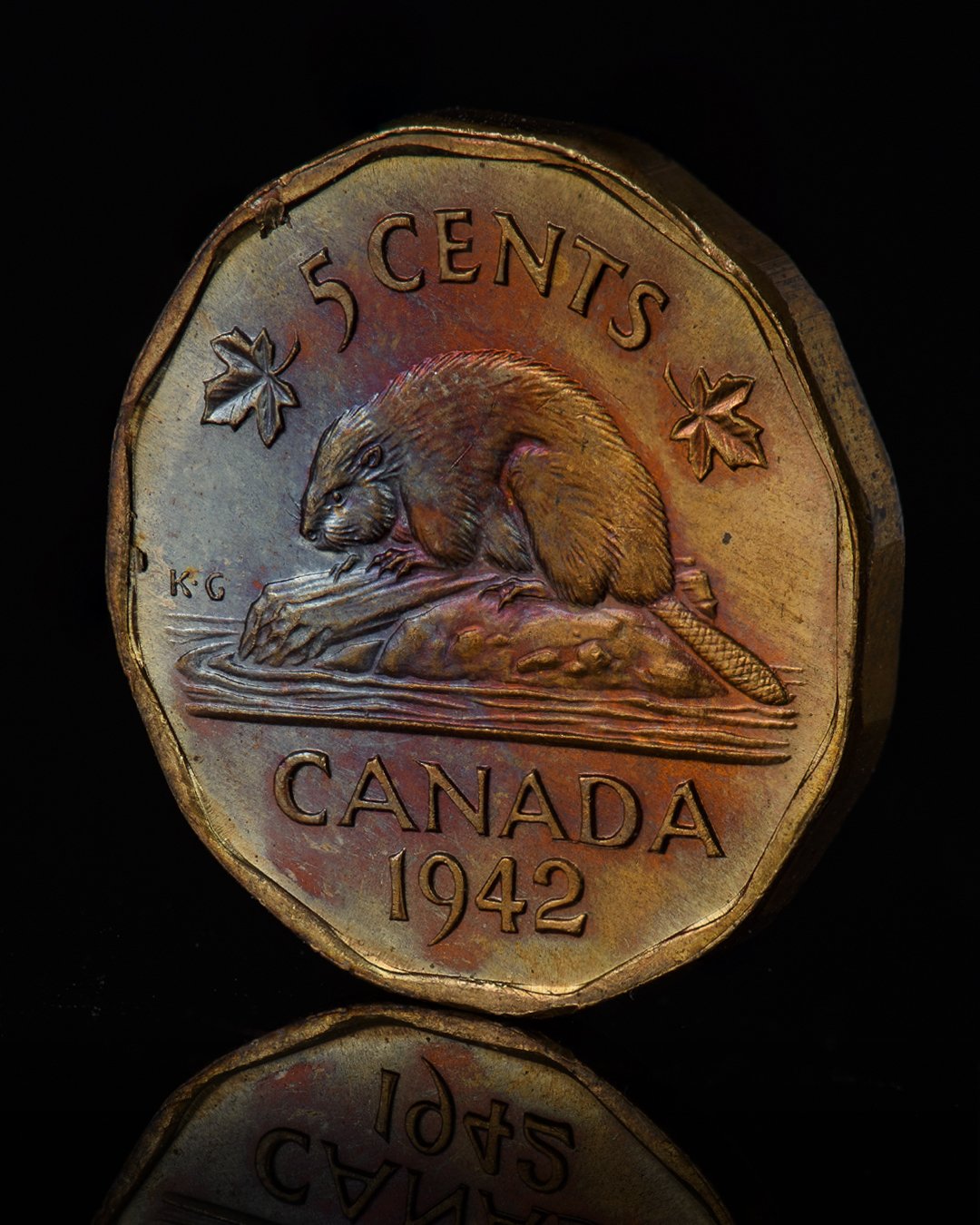 A 1942 Canadian five-cent coin featuring a beaver sitting on a rock and chewing a twig, with maple leaves on either side, against a black background.