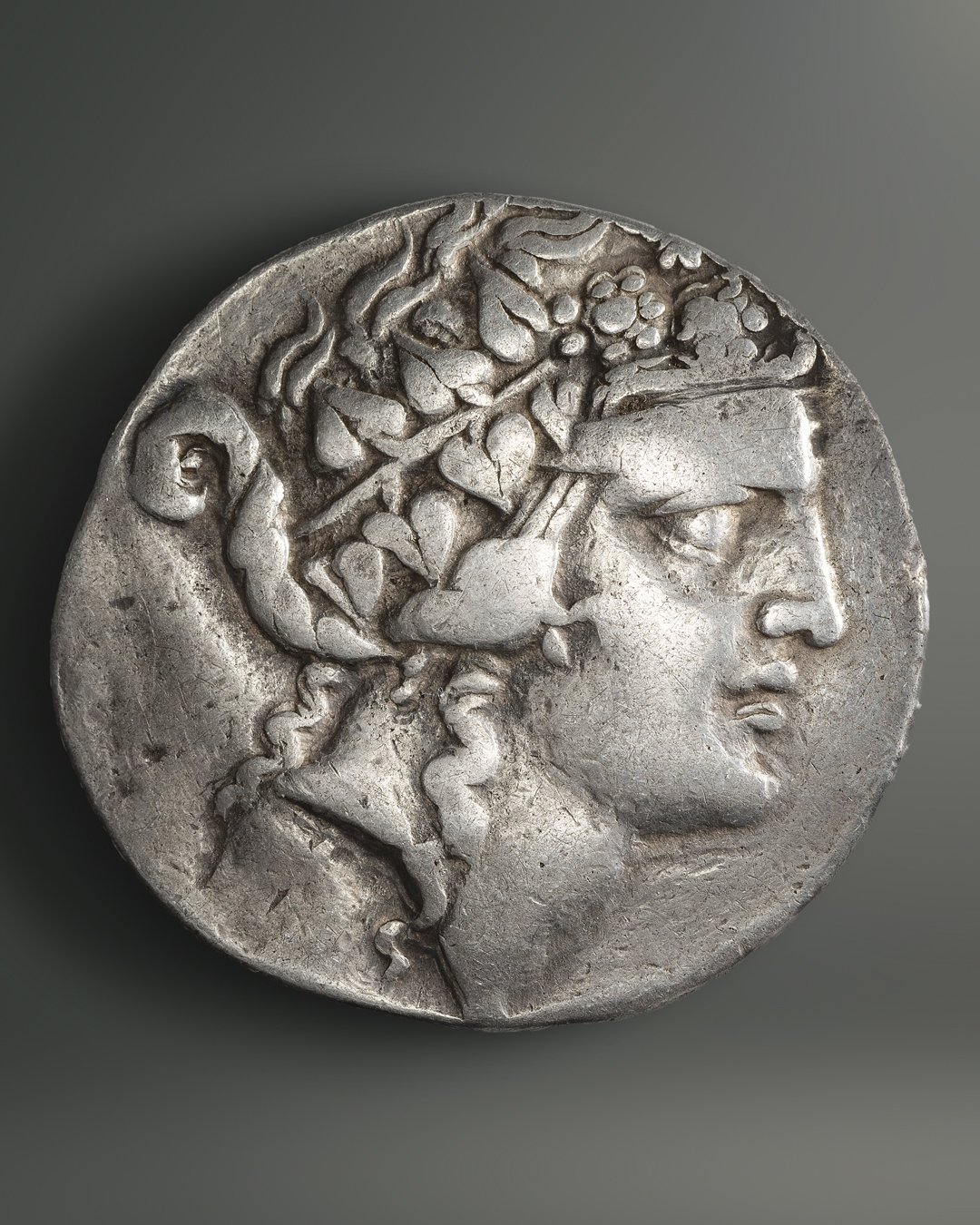 Ancient silver coin with a male profile and a detailed tree or plant with leaves and fruit on the reverse side.