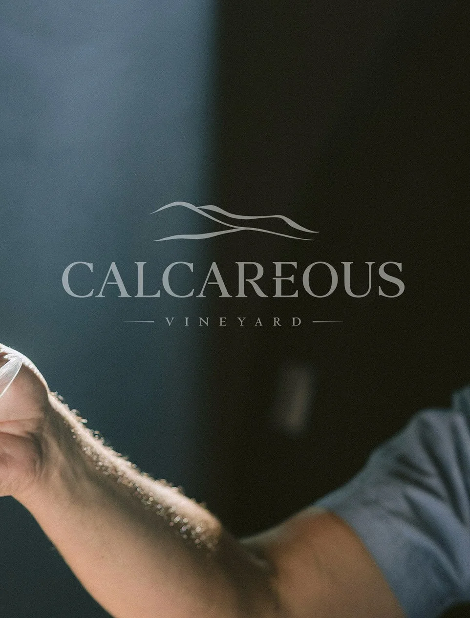 Jason Joyce of @calcareouswine was one of the first winemakers I ever photographed when Acacia started. Exciting to still be documenting moments like this years later.
Harvest gives you these honest little slices of magic. This hero image didn&rsquo;