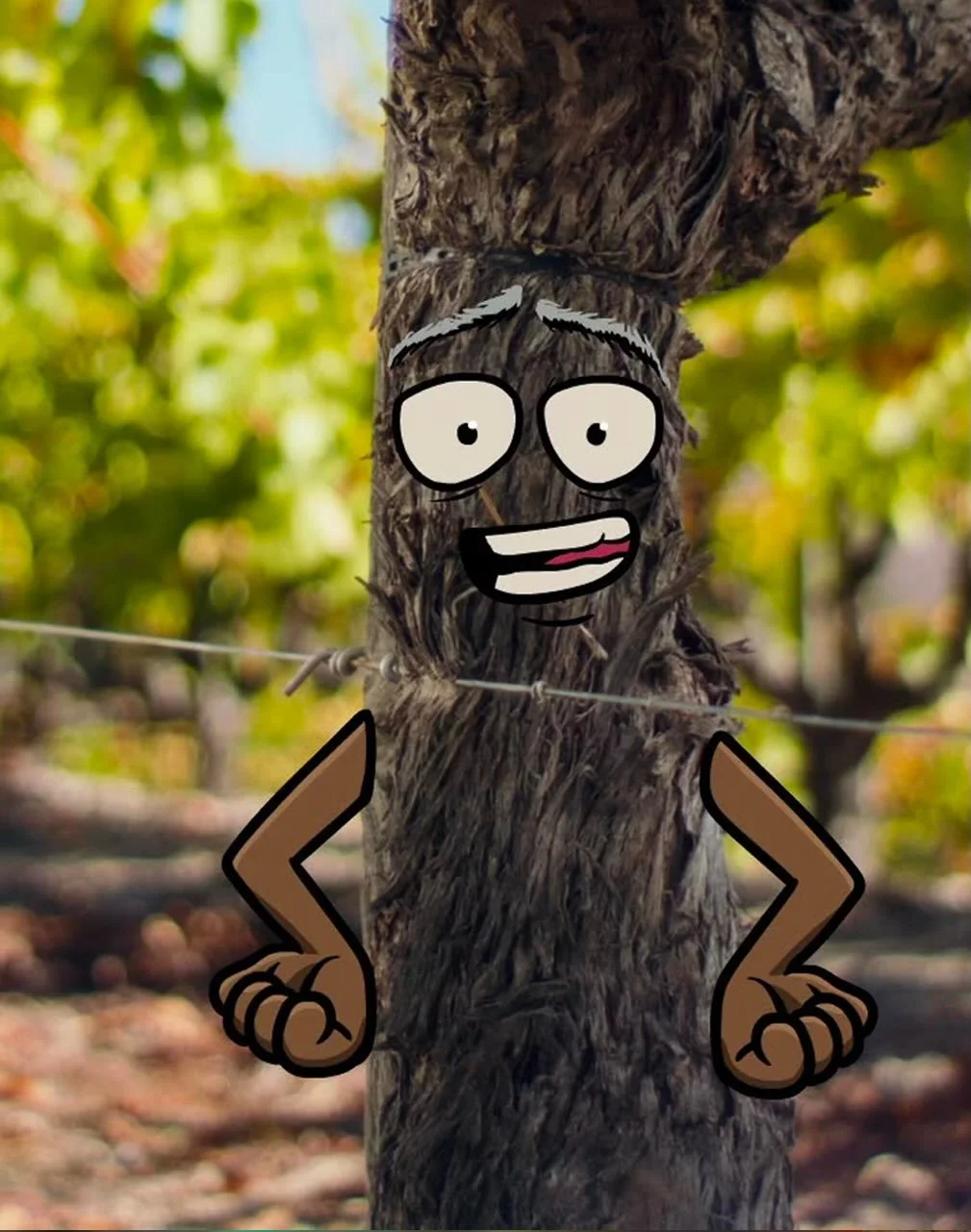 There are many elements that go into the making of Paso Robles wines. But what is it that makes Paso Robles wines so special? The grapes think it&rsquo;s them. The soil disagrees. The barrel has opinions too. In Paso Robles, every part has a voice, a