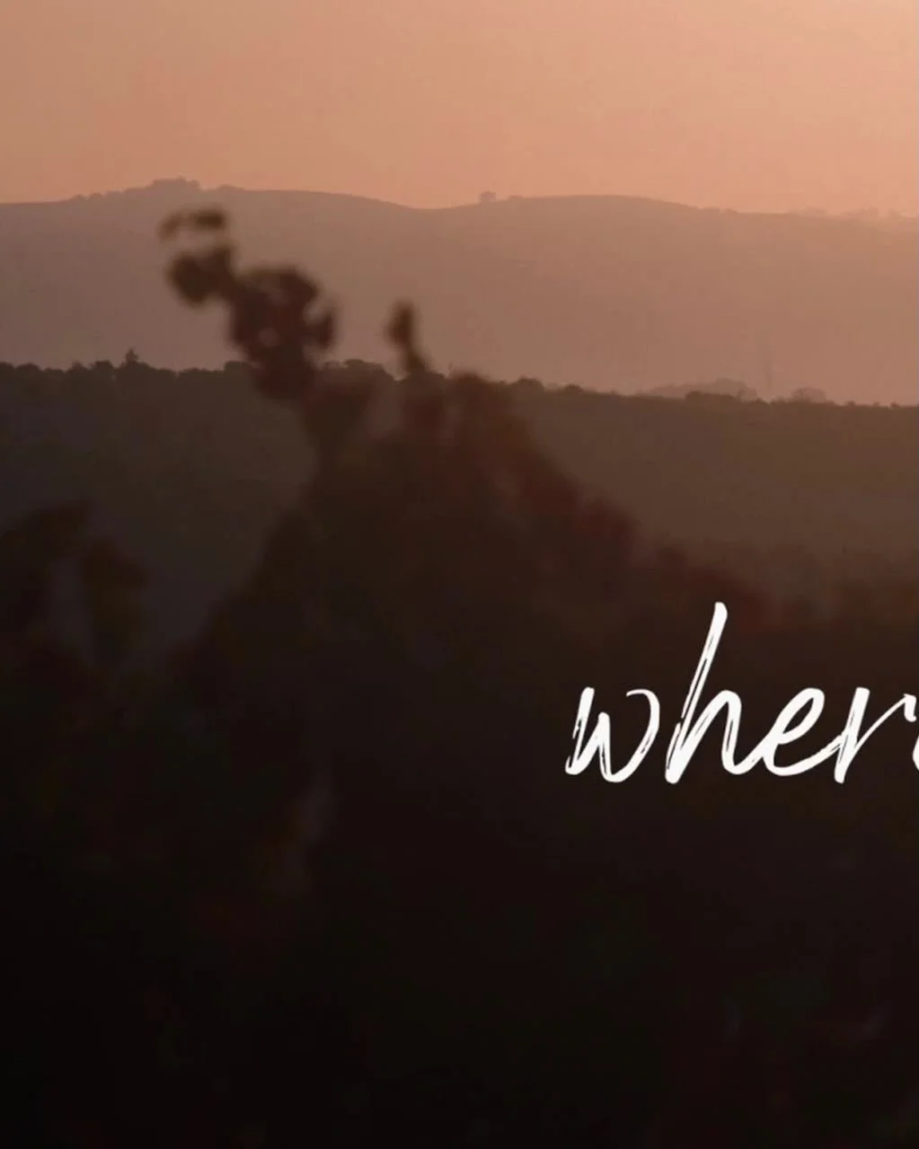 Old vines. Deep roots. A story that could only come from this place.

There&rsquo;s something special about a vineyard where the vines have been telling stories longer than most of us have been around.

Loved creating this Where Wine Takes You film w