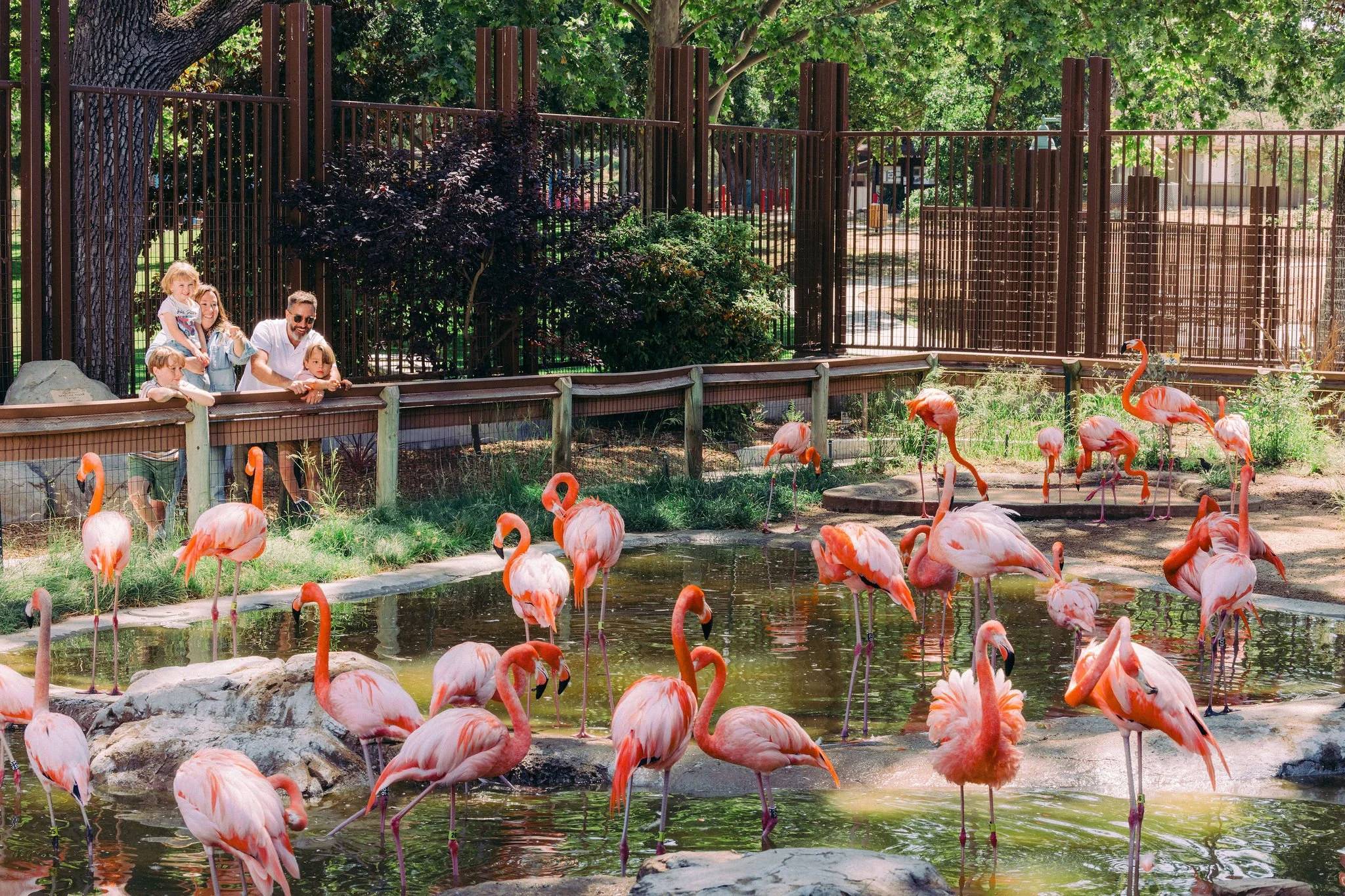 acacia_productions-Verdin-Visit_Atascadero-Favorite_Neighbor-0024 (1).jpg