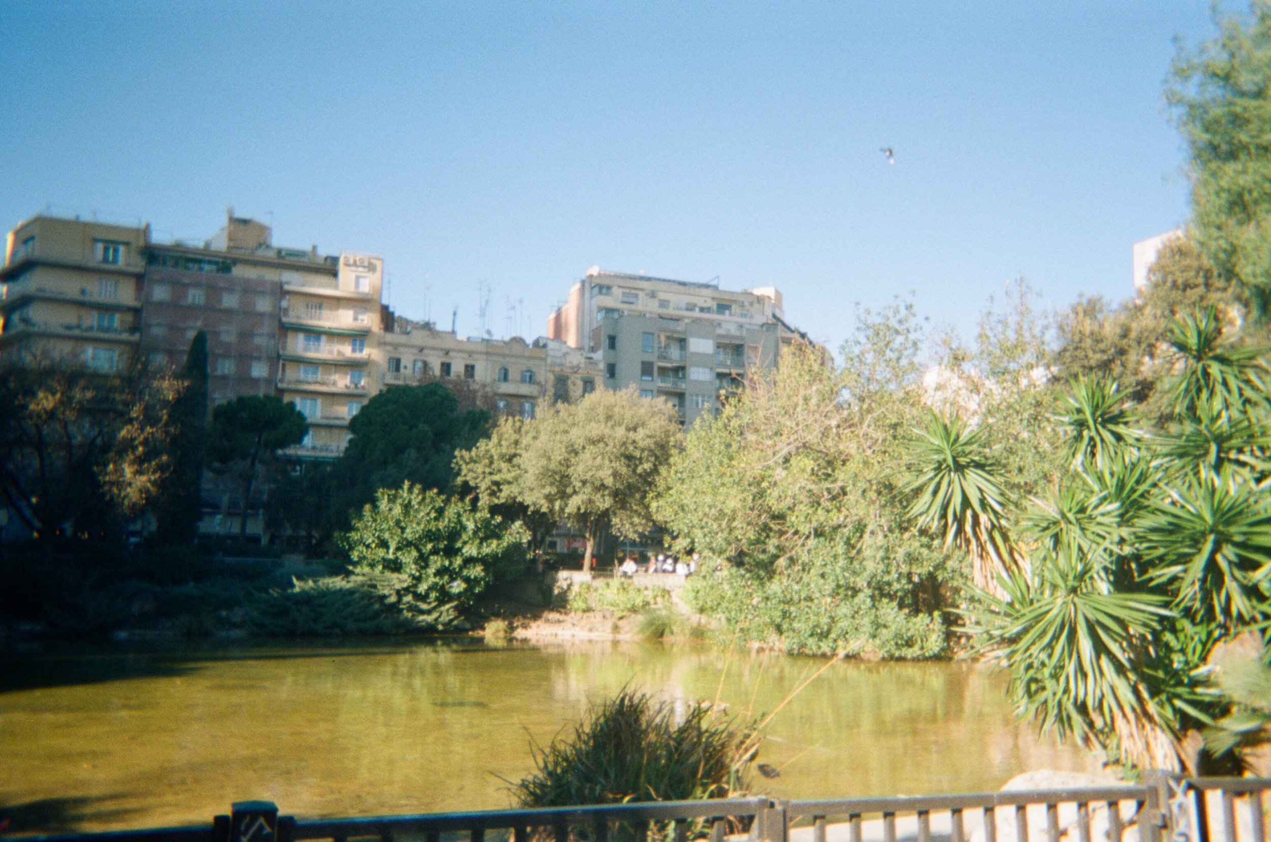 000129050028.jpg