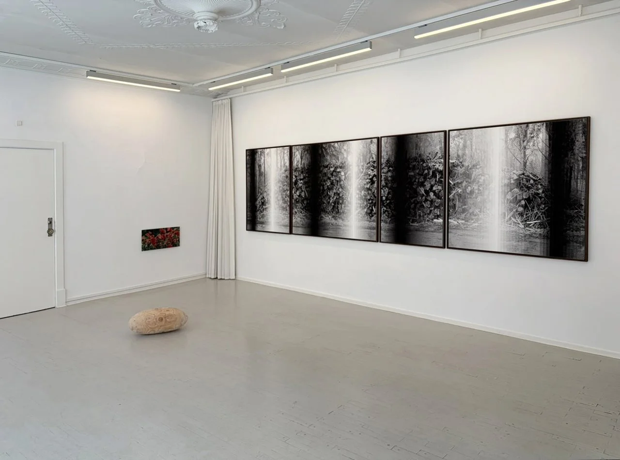 Dodge and Burn 3  (2026) Martin Asbæk Gallery Copenhagen