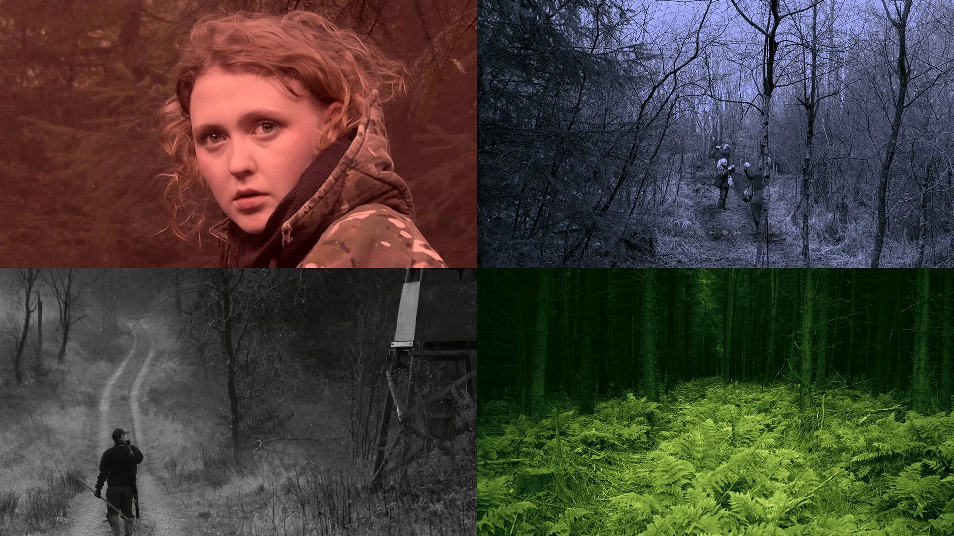 Stills from Wahaha Biota (see Moving Image)
