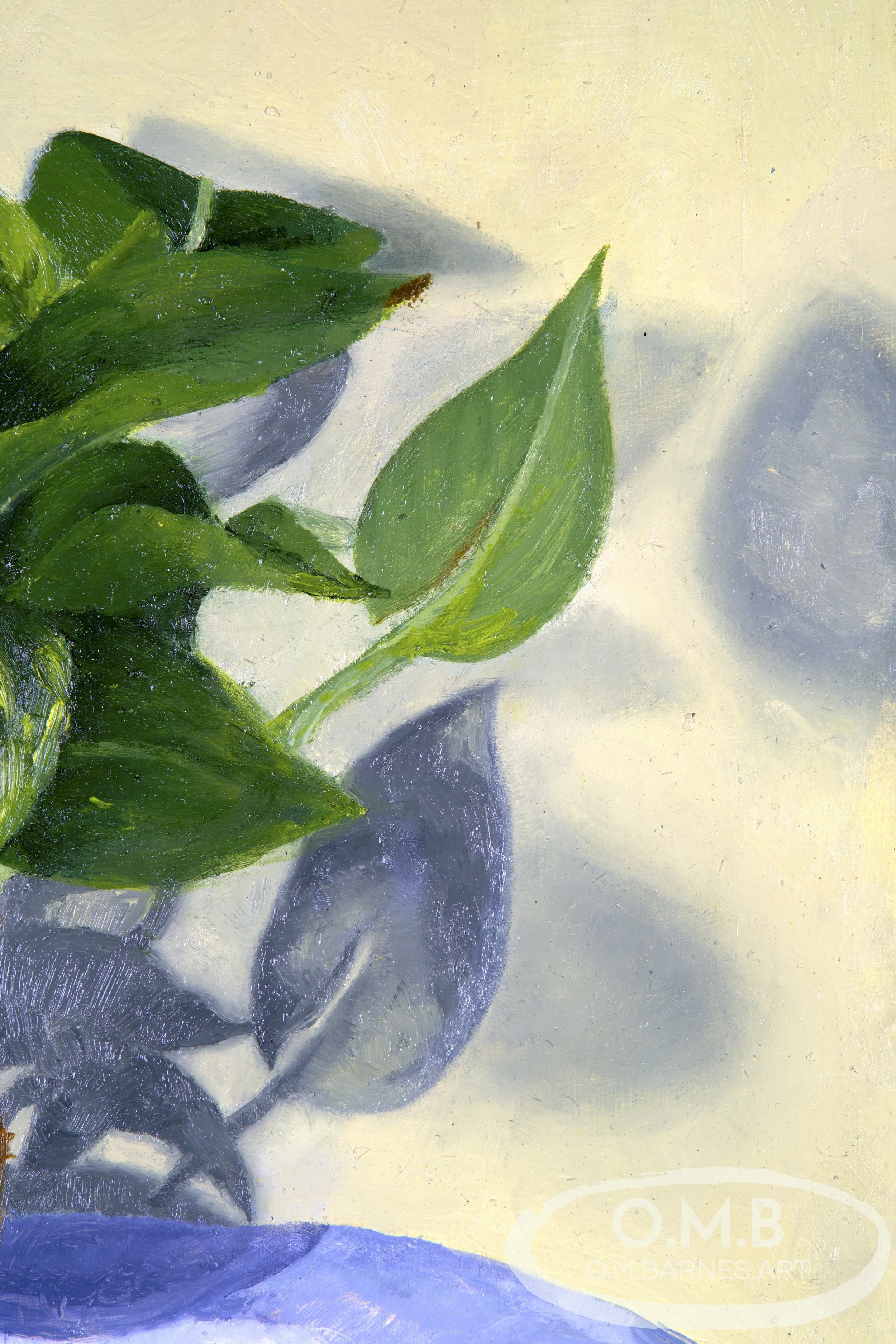 WM sml pothos zoom.jpg