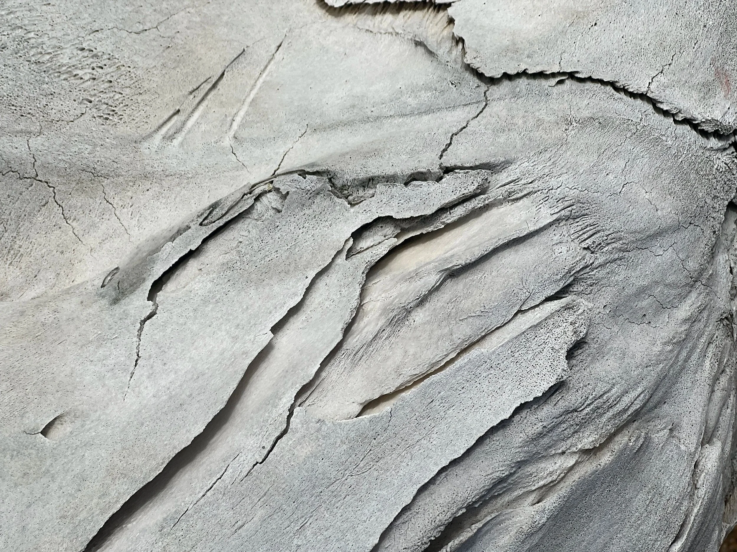 A Prayer for Uniformity (& Others)